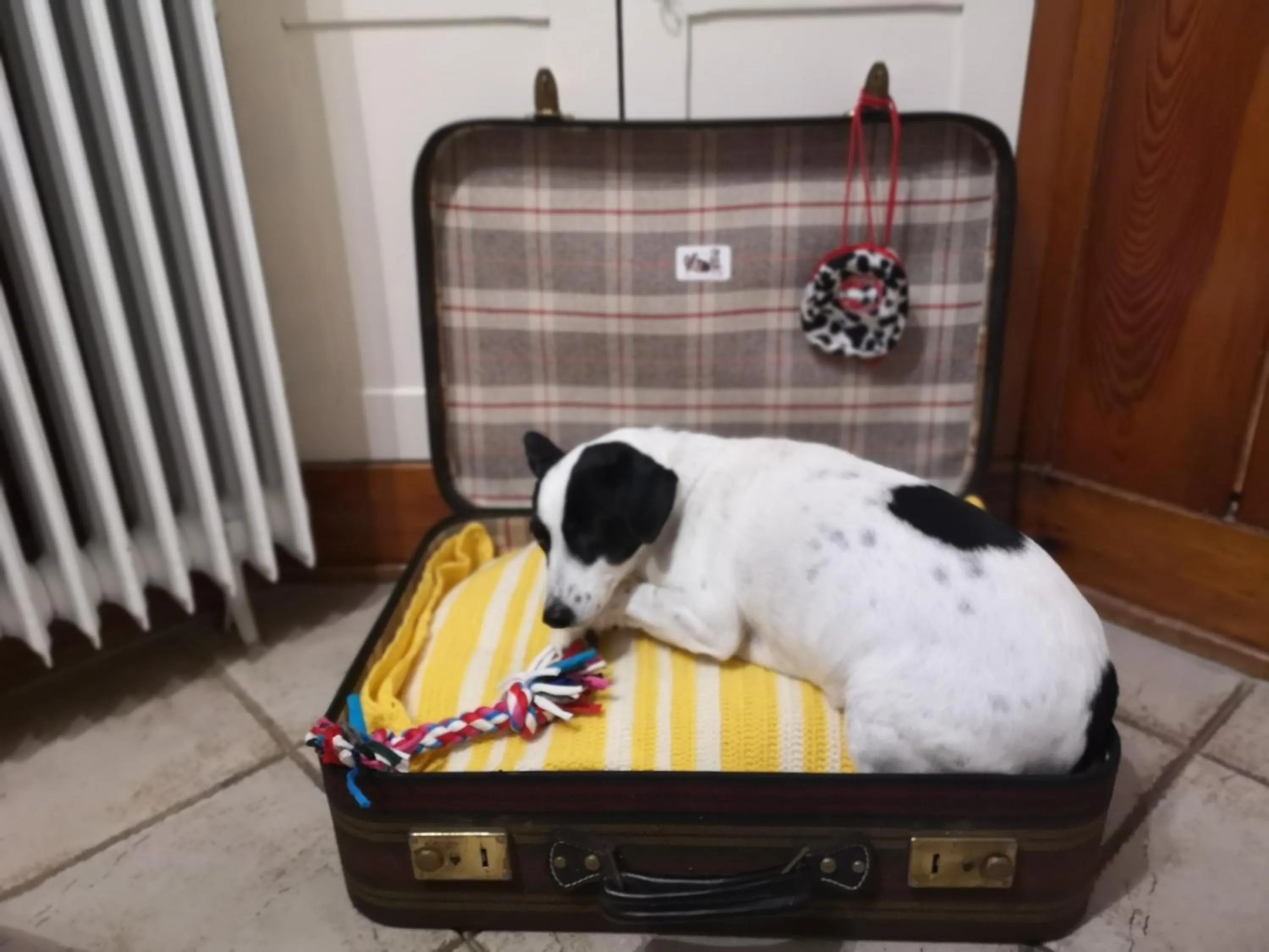 Pets in FerienAppartments Landhaus FühlDichWohl