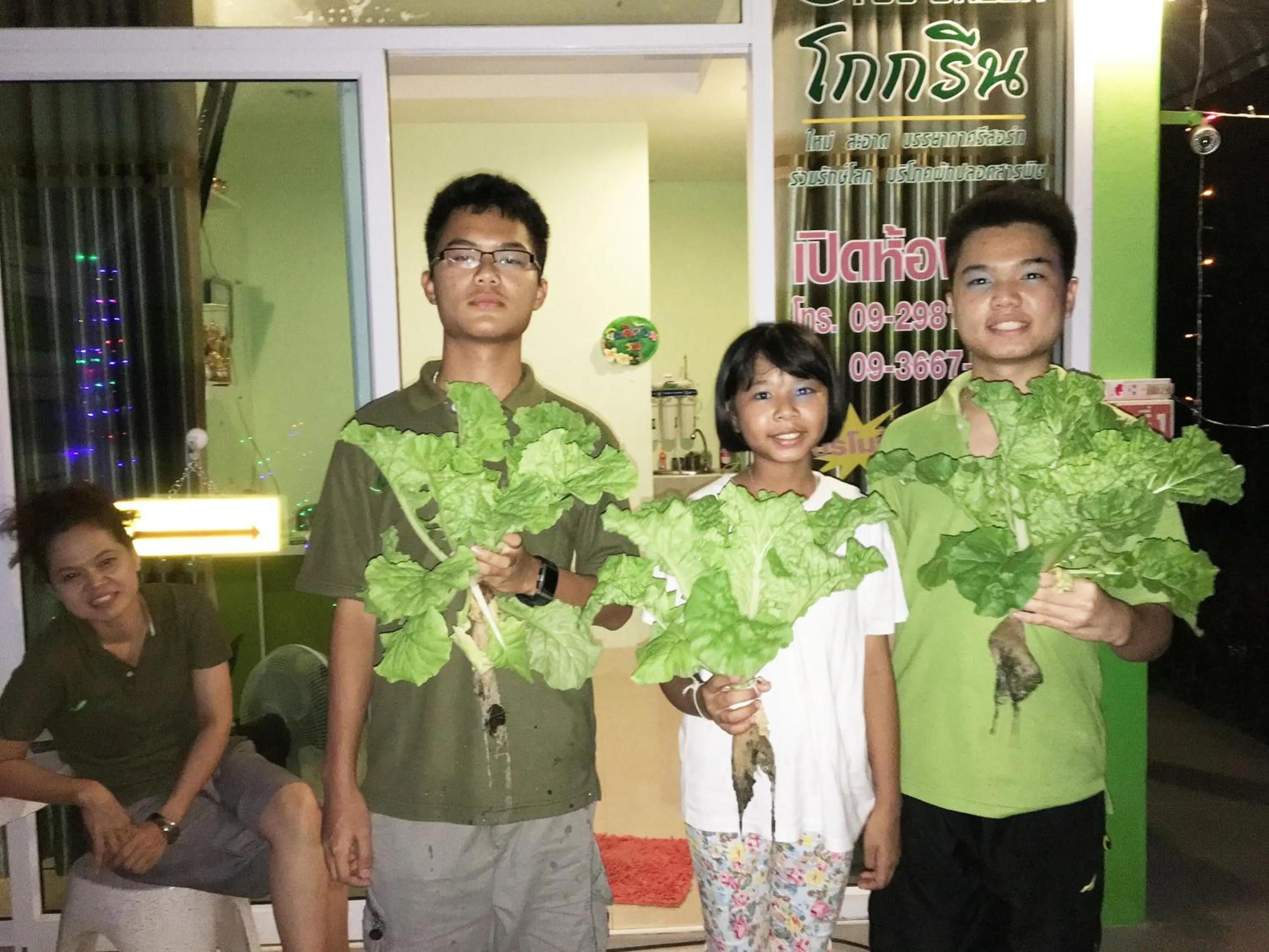 Other in Go Green Resort