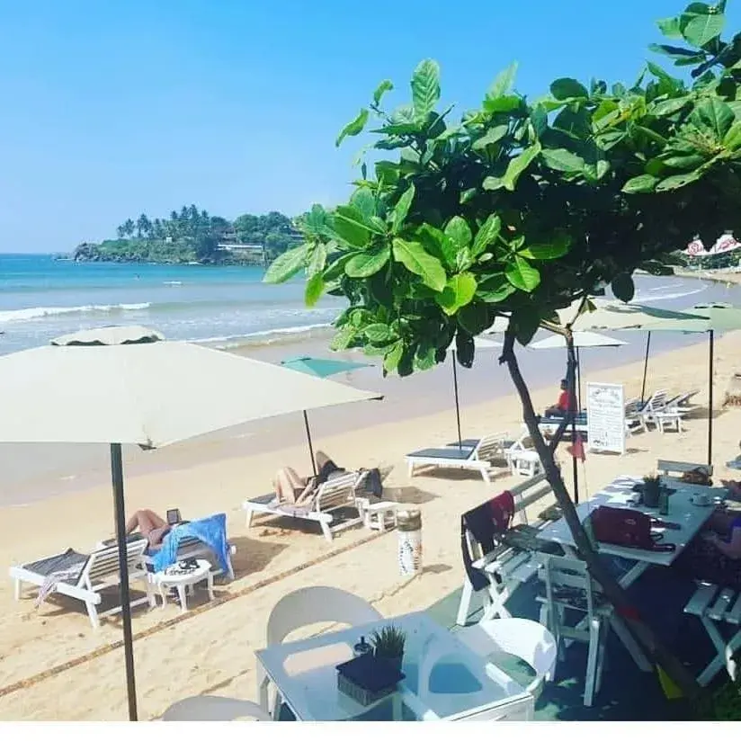 Villa Surf Beach Villa Surf Beach