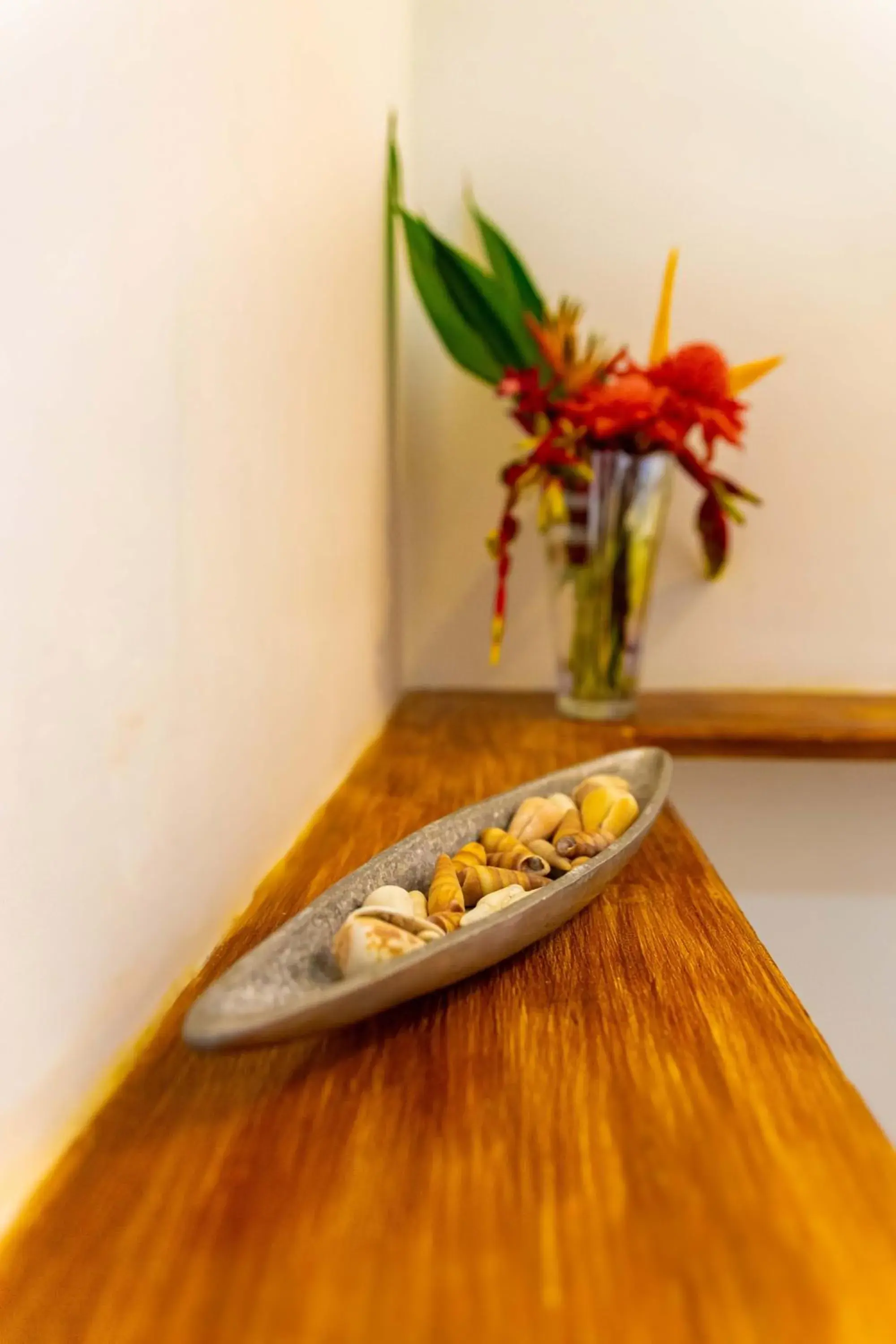 Villa Surf Beach Villa Surf Beach