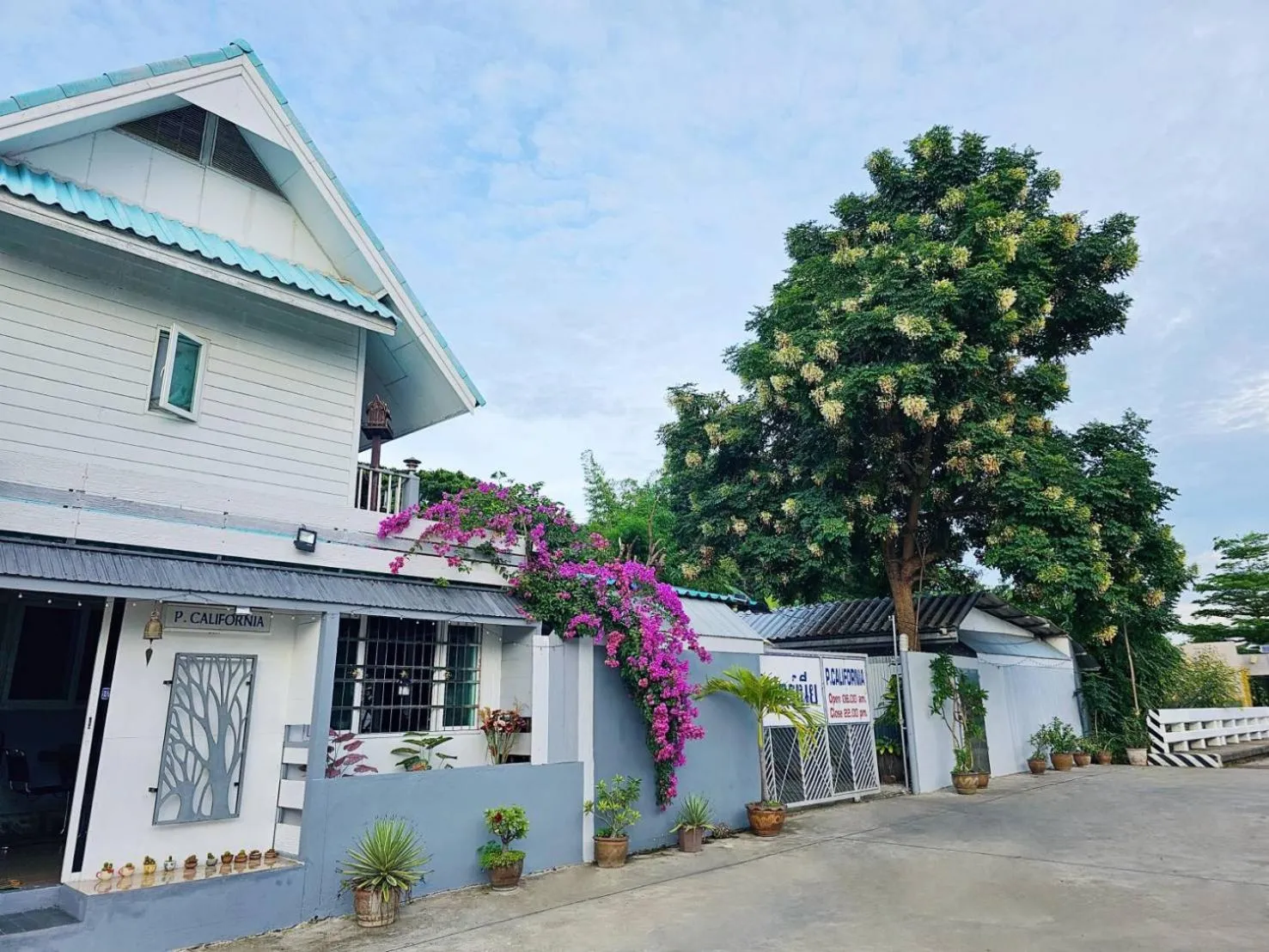 Property building in P.California Inter Hostel