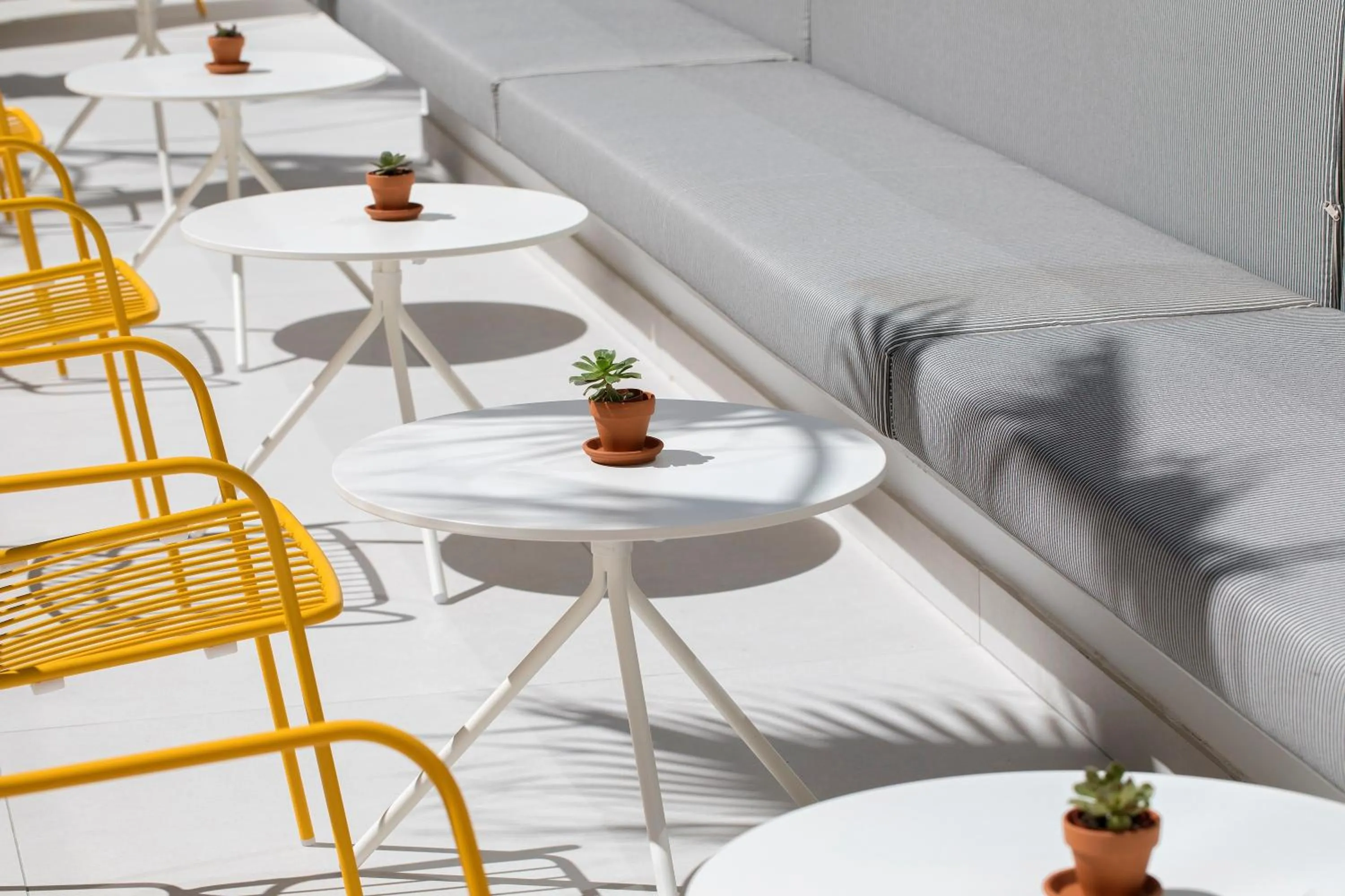 Area and facilities in whala!fun