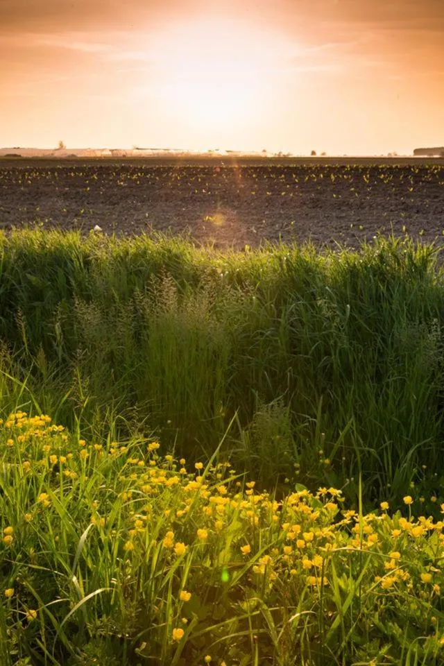 Property building in B&B Nascondino