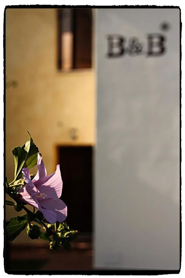 Property building in B&B Nascondino