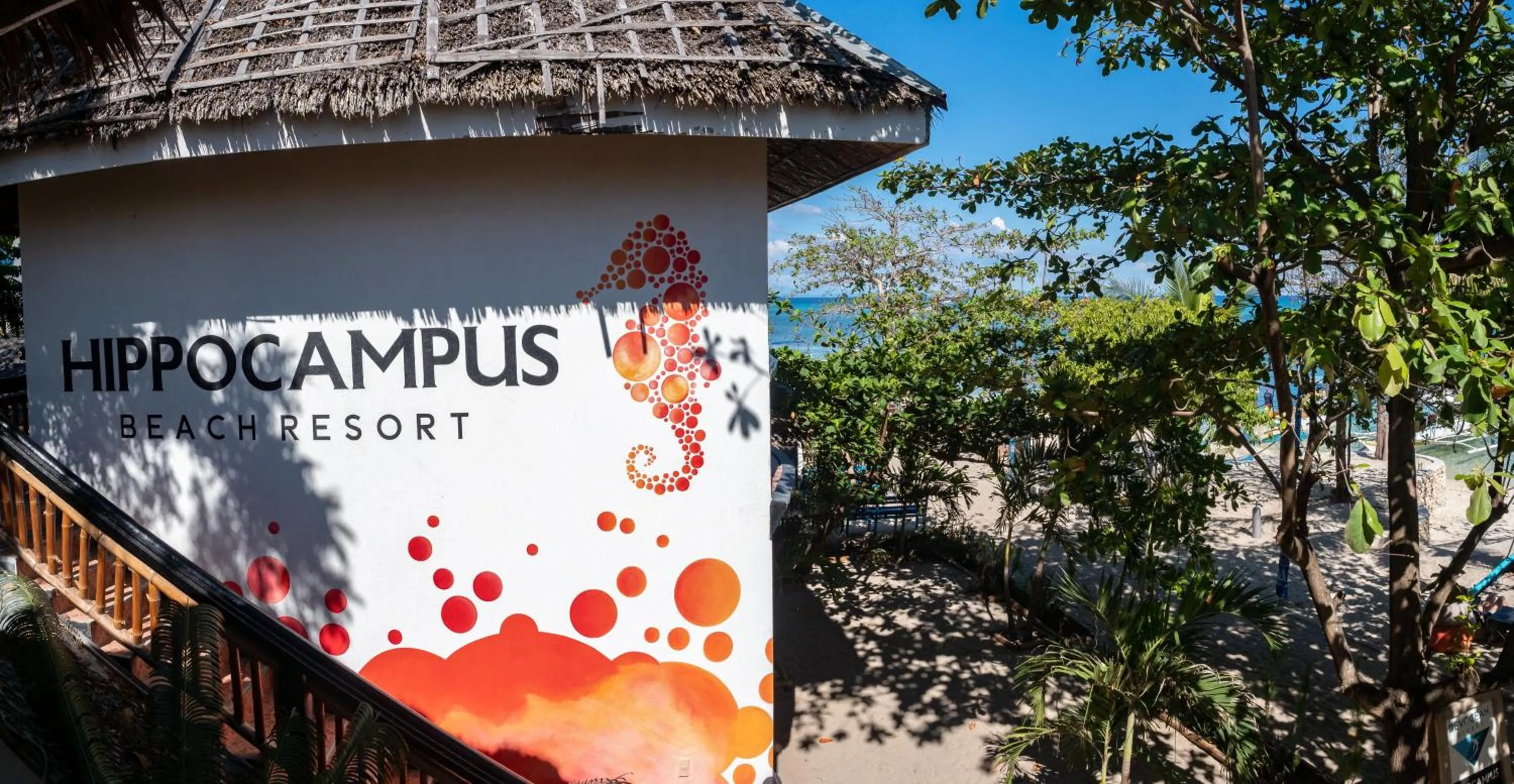 Beach in Hippocampus Beach Resort