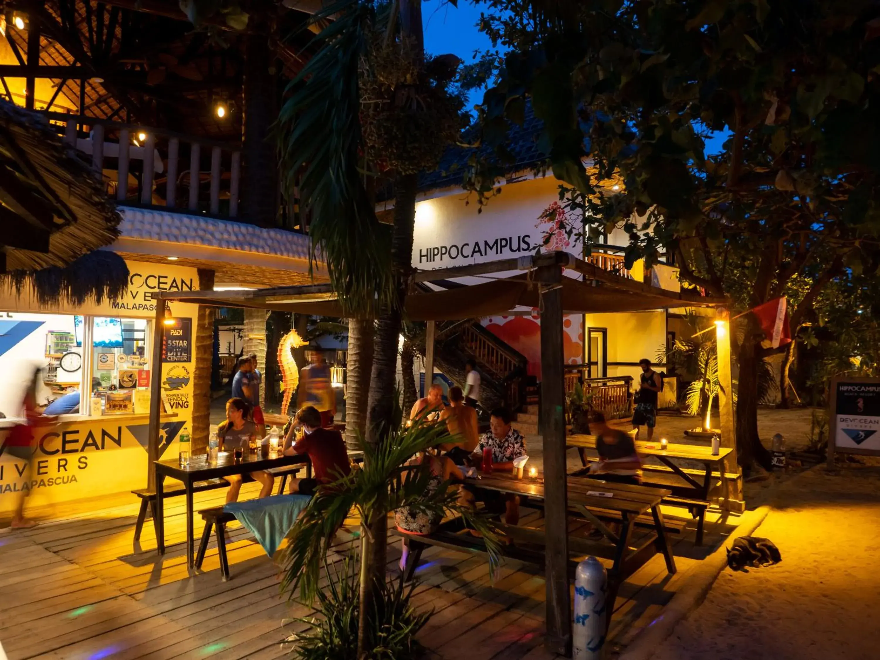 Restaurant/places to eat in Hippocampus Beach Resort Restaurant/places to eat in Hippocampus Beach Resort