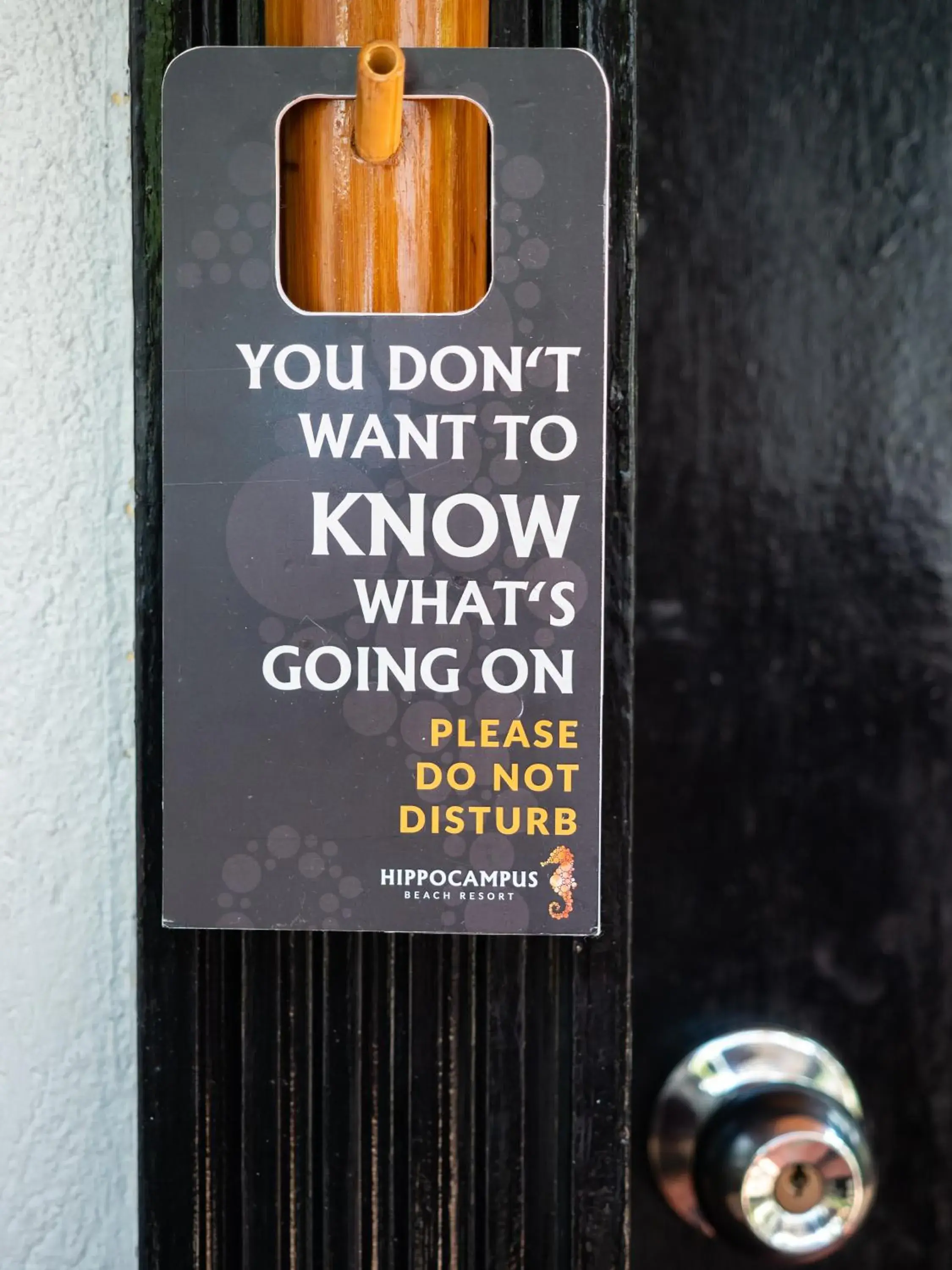 Balcony/Terrace in Hippocampus Beach Resort Balcony/Terrace in Hippocampus Beach Resort