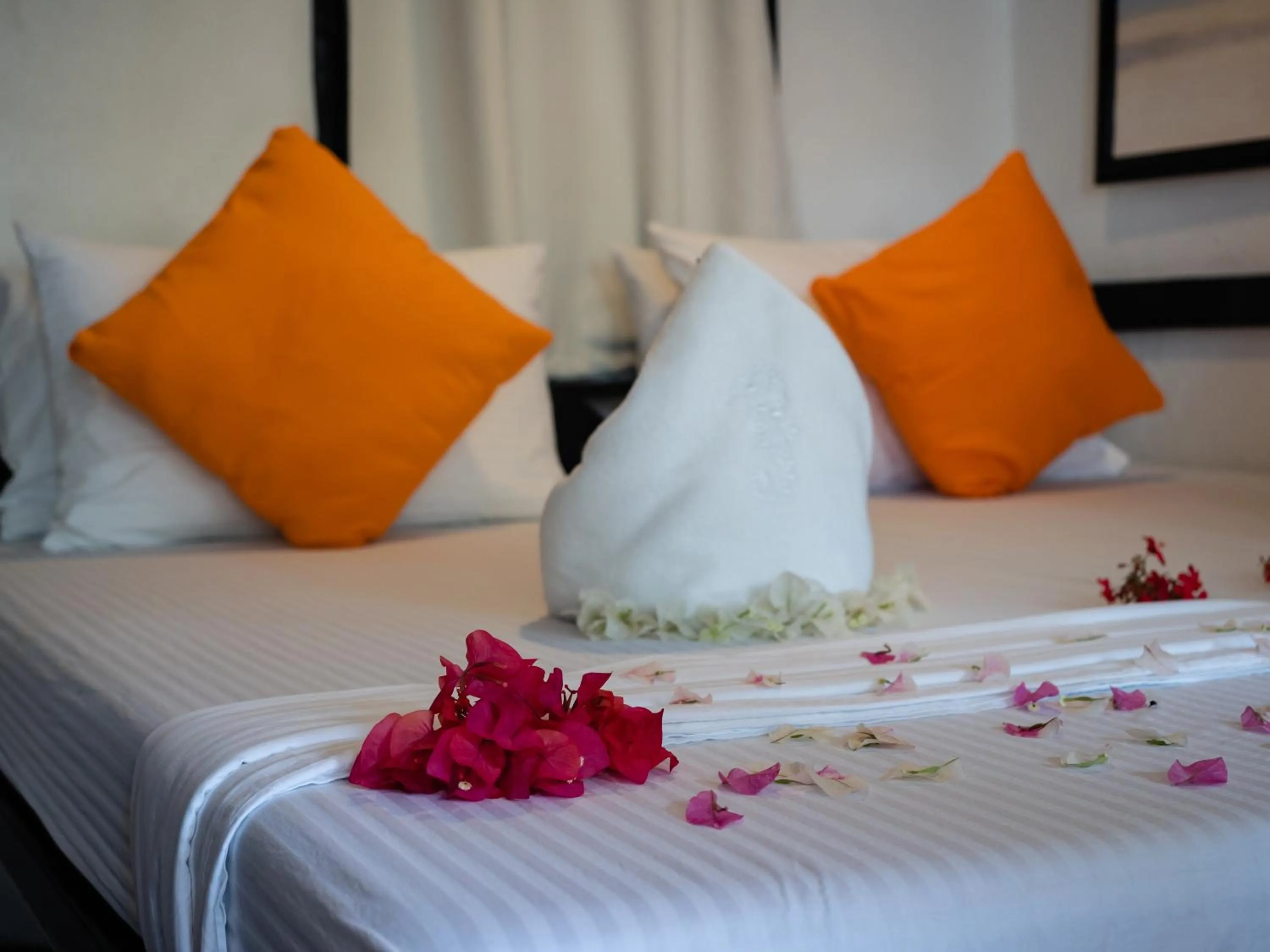 Bed in Hippocampus Beach Resort