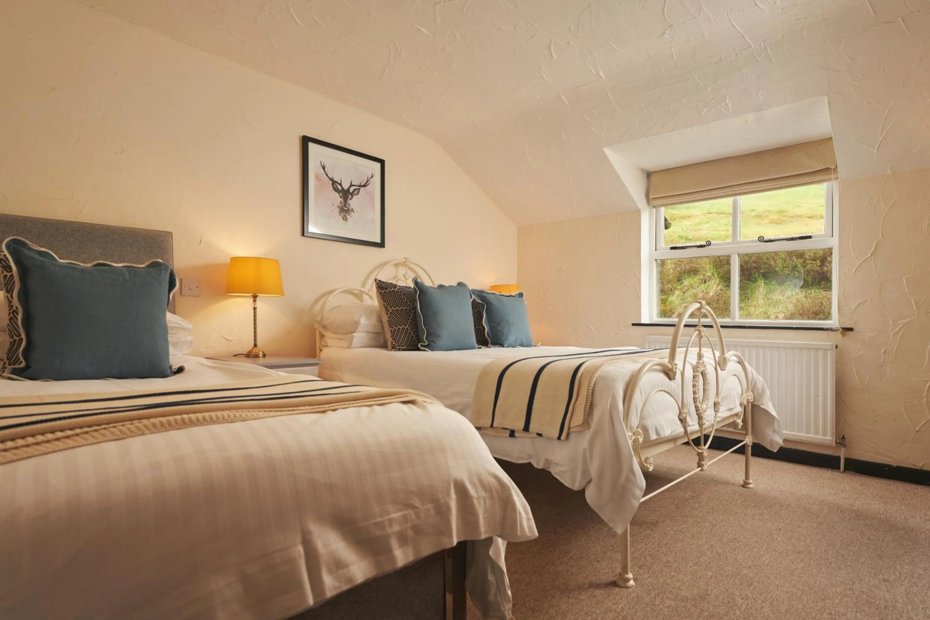 Standard Double or Twin Room in Blue Ball Inn