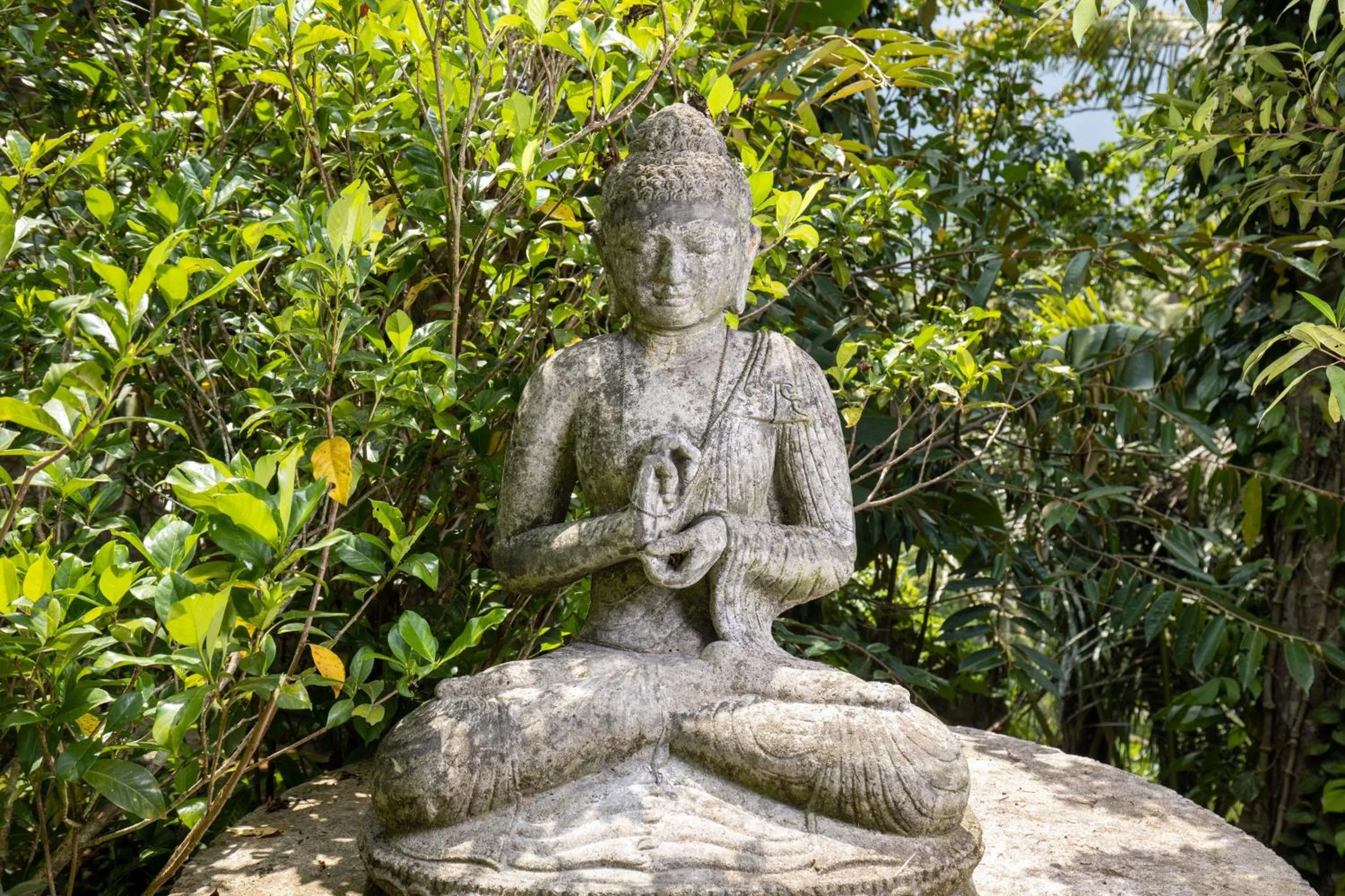 Natural landscape in Secluded Jungle Villa