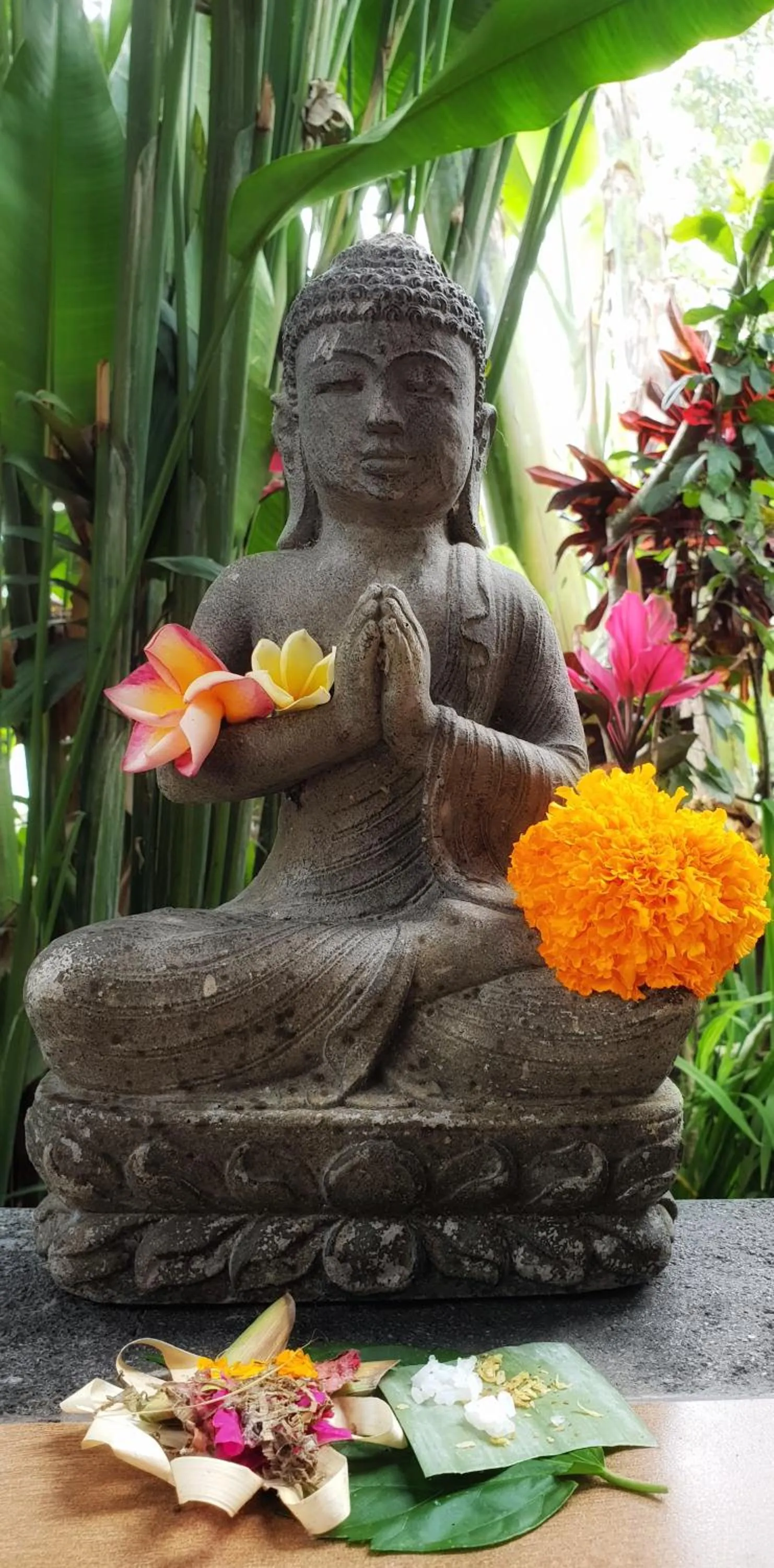 View (from property/room) in Secluded Jungle Villa