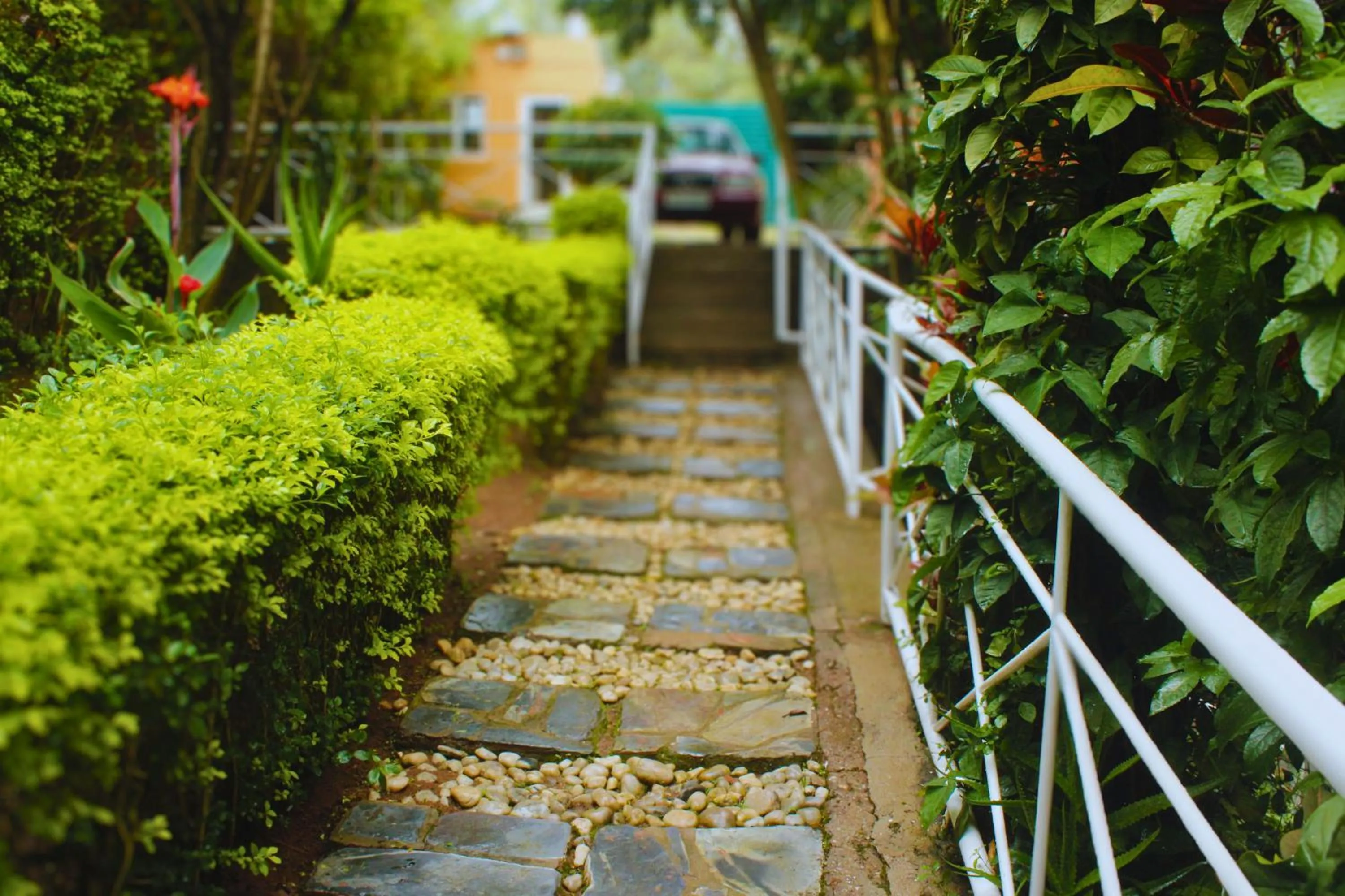 Natural landscape in Salama Village Kigali
