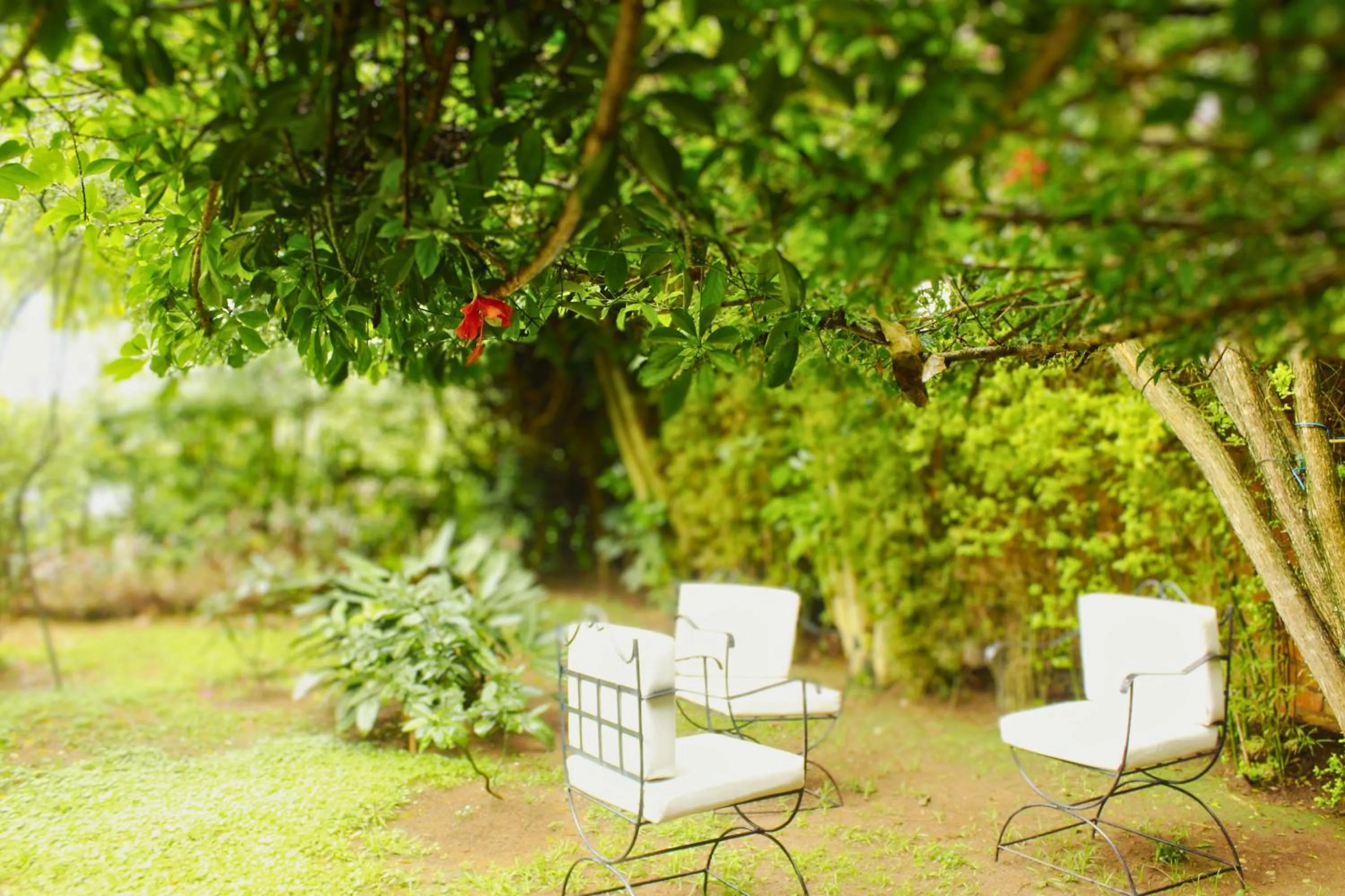 Natural landscape in Salama Village Kigali