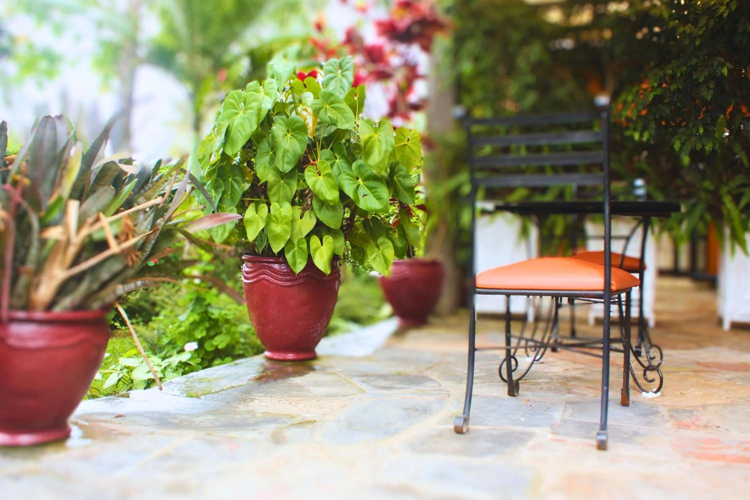 Patio in Salama Village Kigali