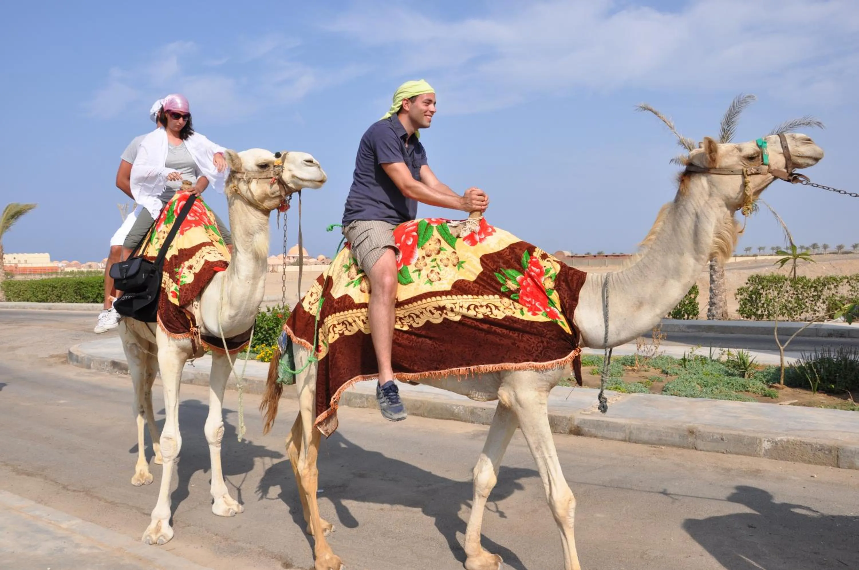 Horse-riding in ONATTI Beach Resort - Marsa Alam