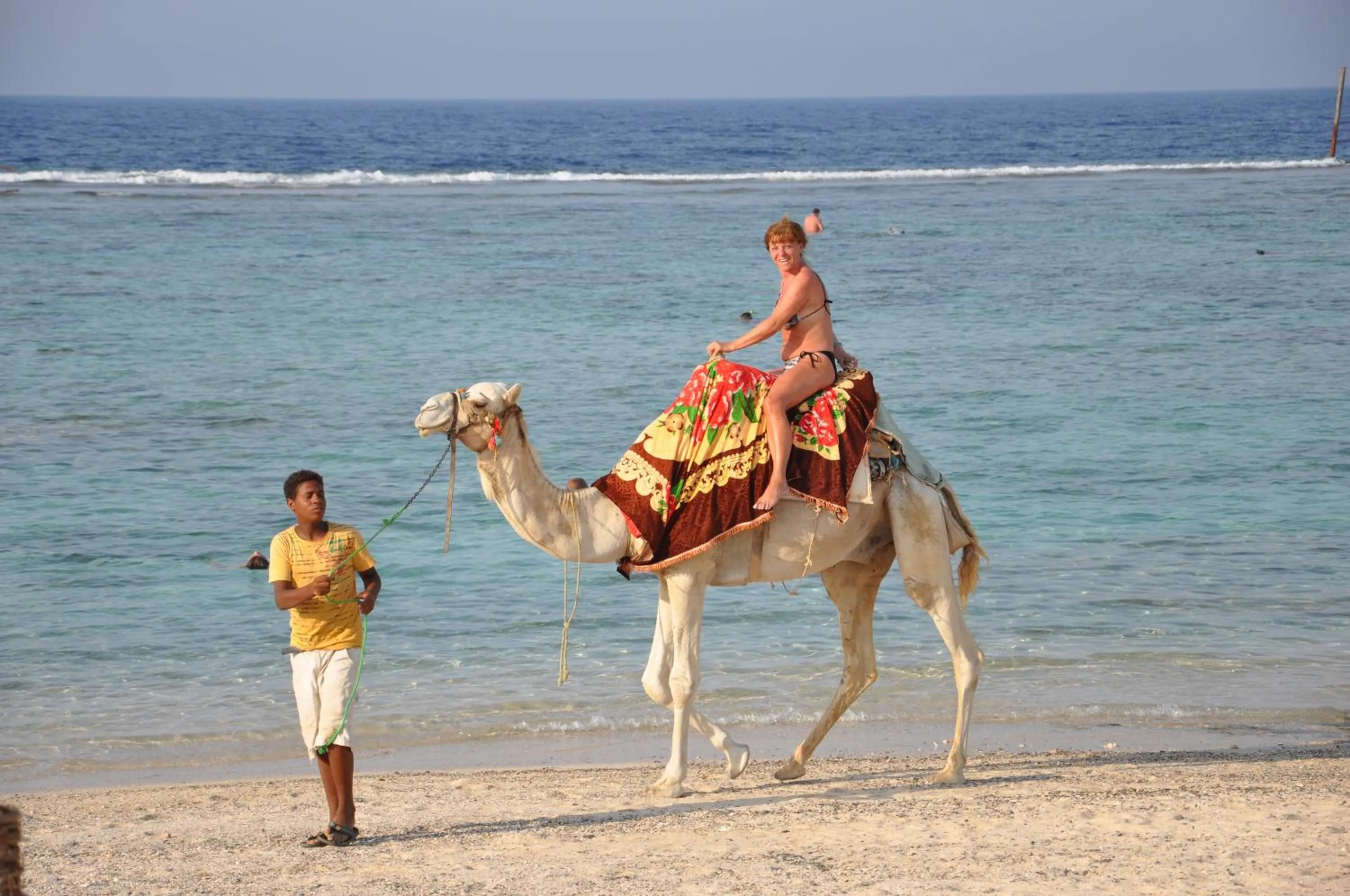 Horse-riding in ONATTI Beach Resort - Marsa Alam