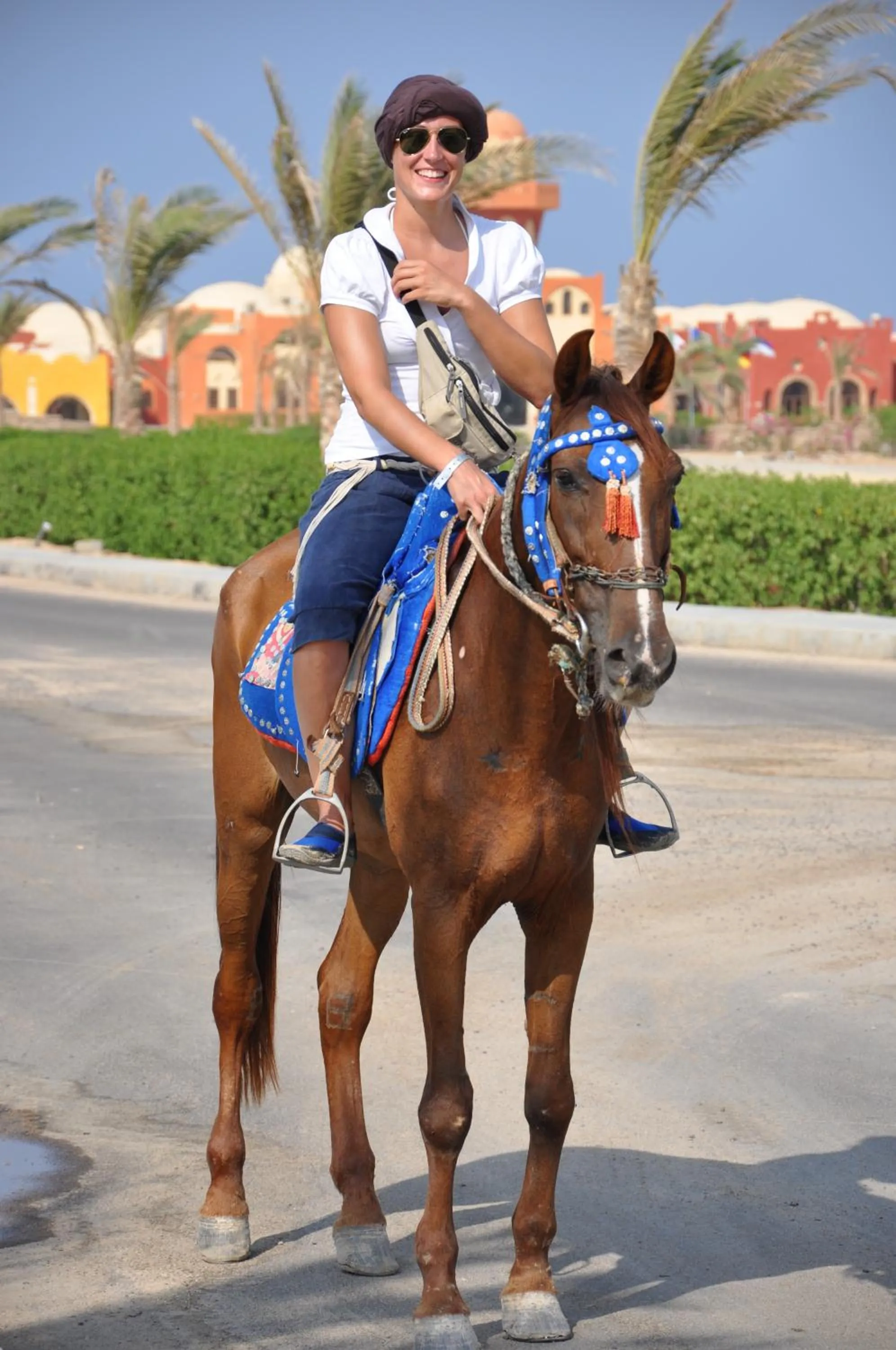 Horse-riding in ONATTI Beach Resort - Marsa Alam
