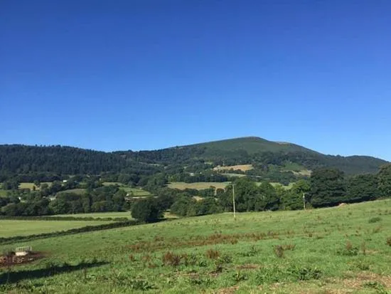 Garden view in Hardwick Farm
