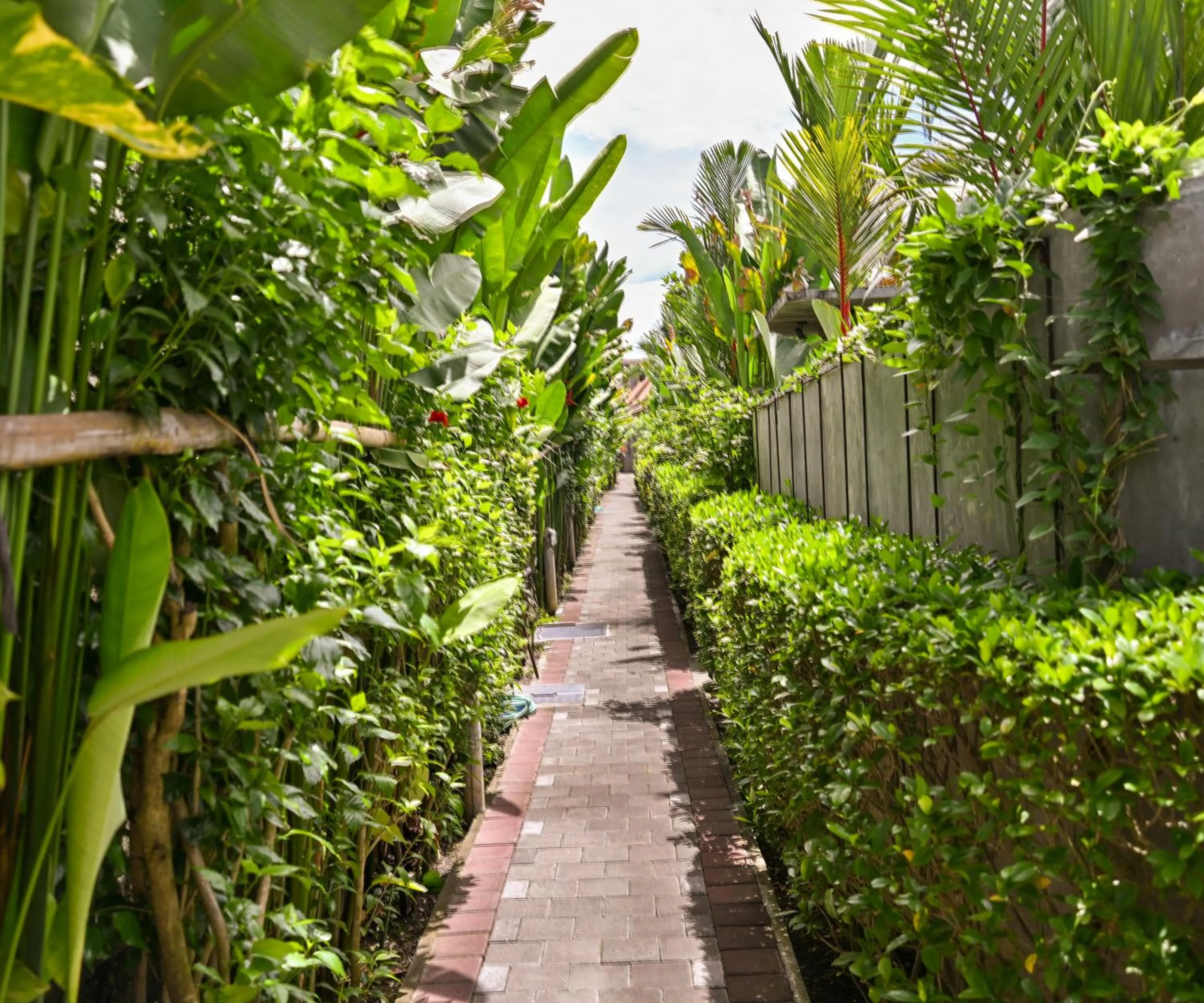 Garden in Canggu Wooden Green Paradise