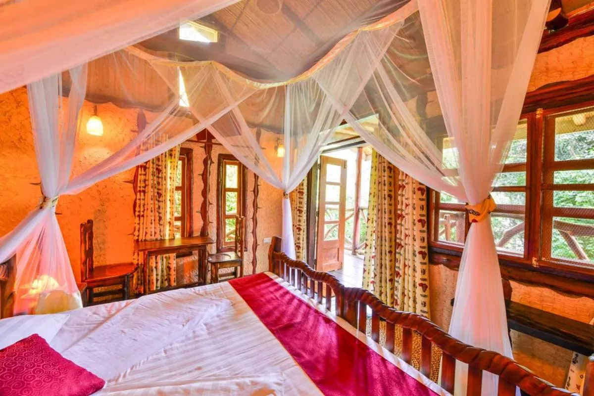 Photo of the whole room, Bed in Serenada Eco Resort