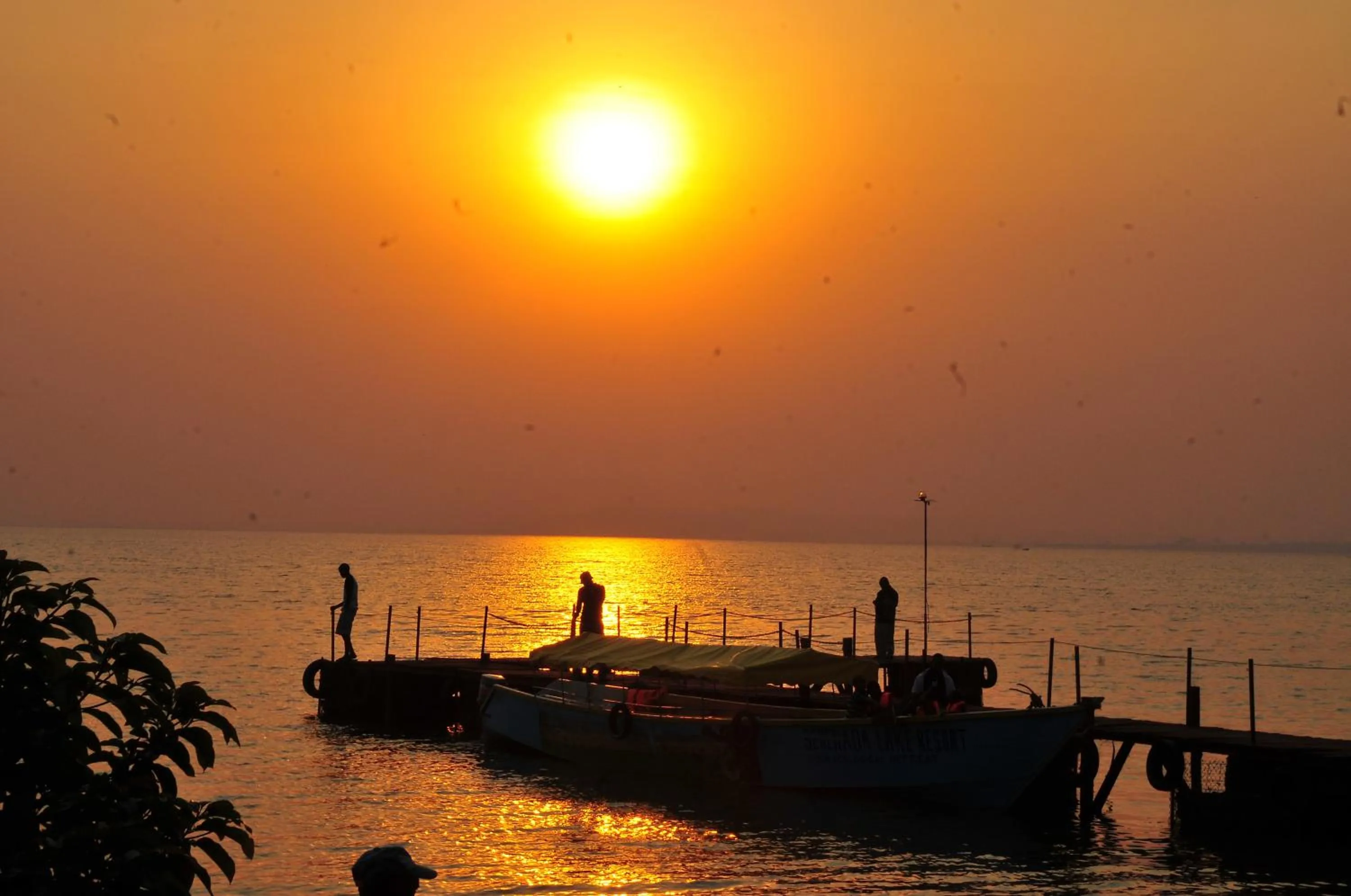Area and facilities in Serenada Eco Resort