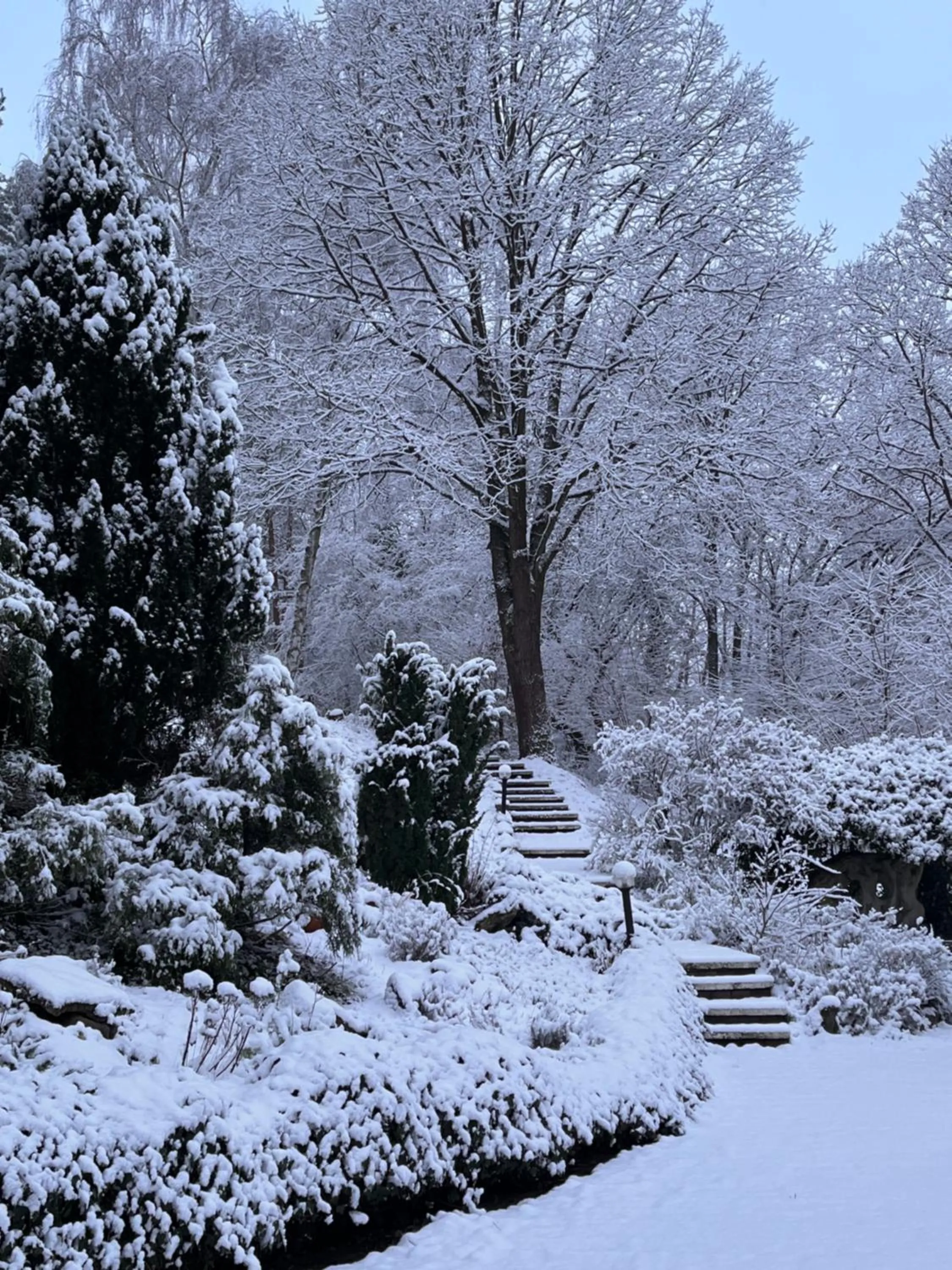 Winter in Haus am Wald