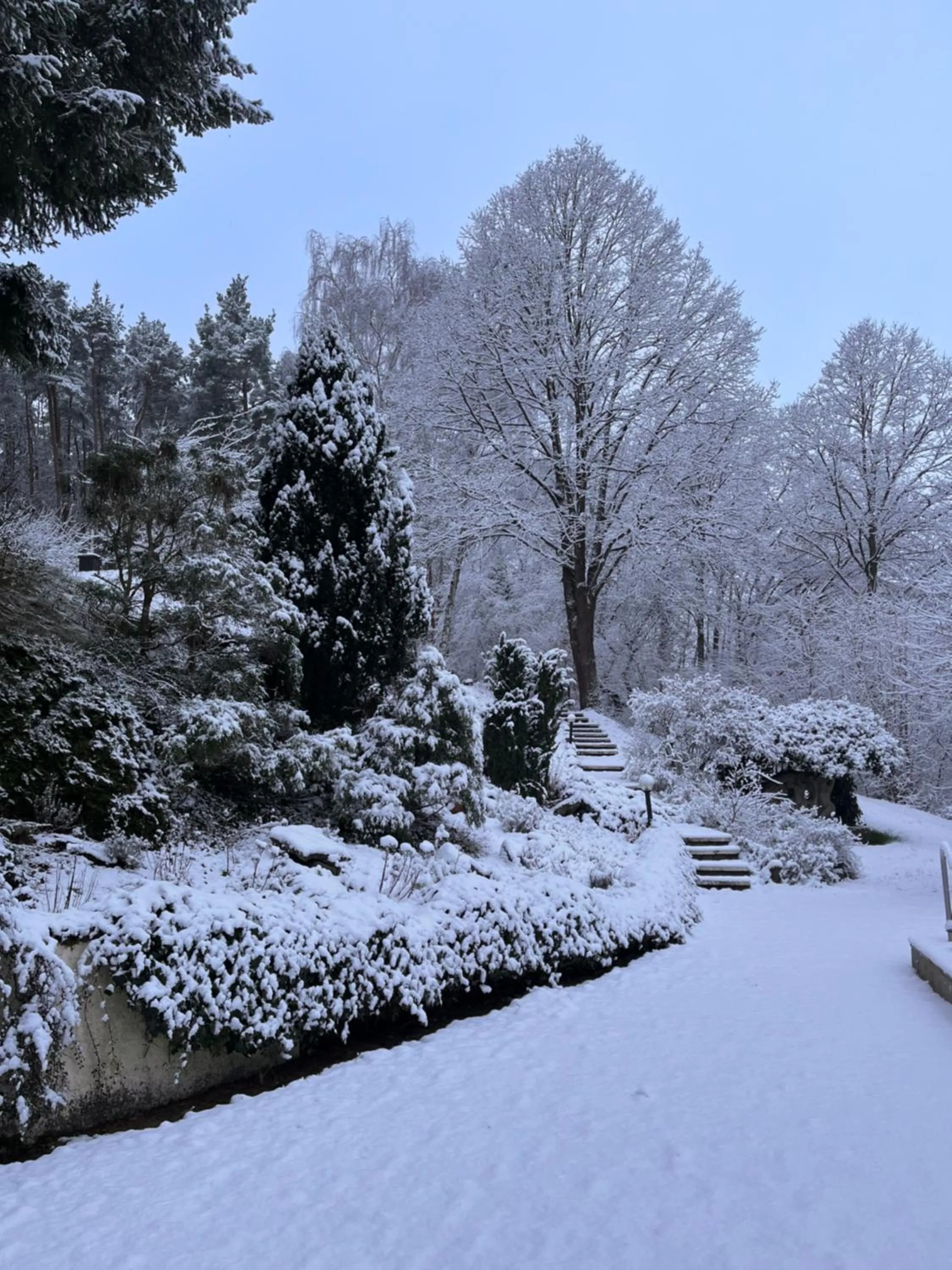 Winter in Haus am Wald