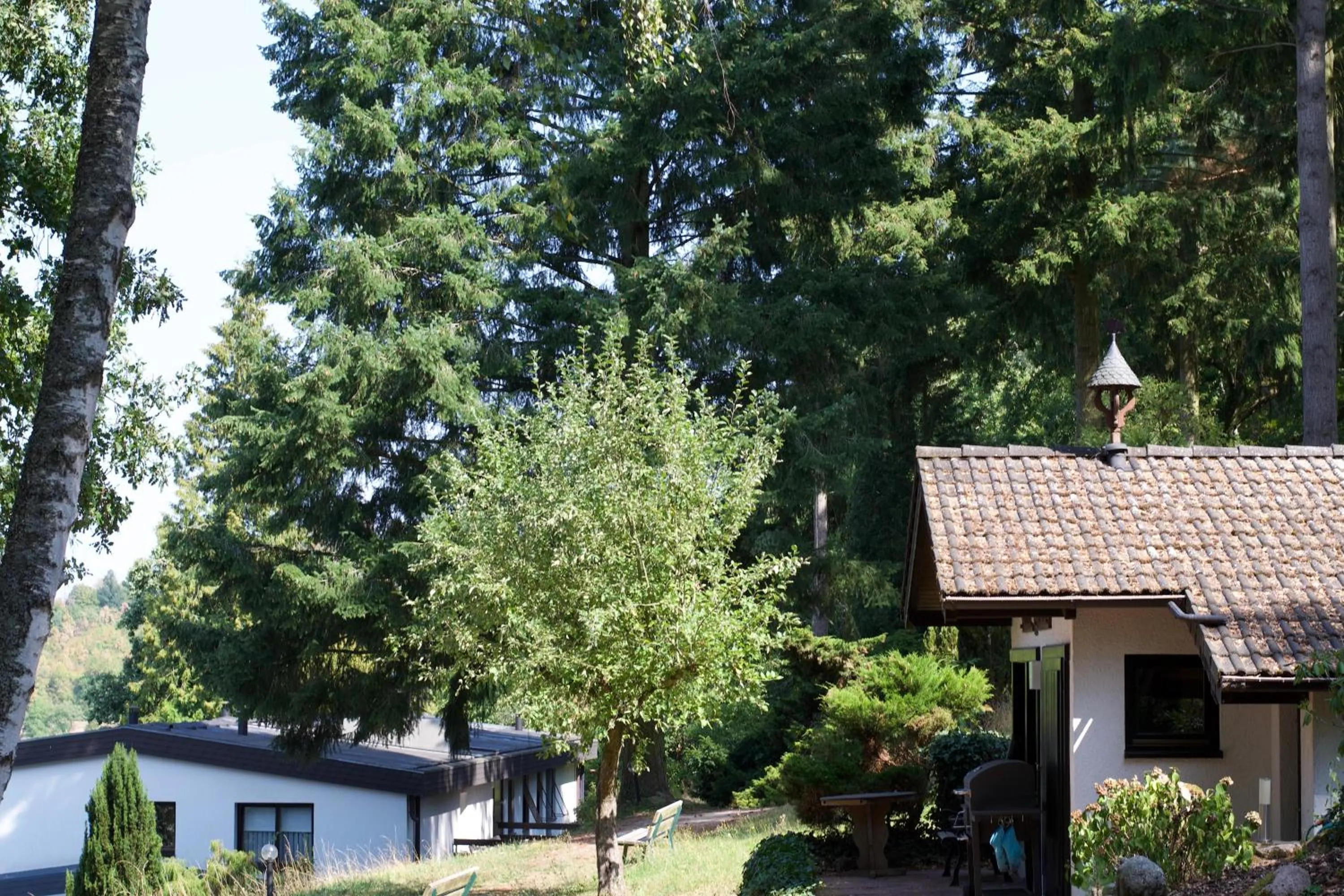 Property building in Haus am Wald