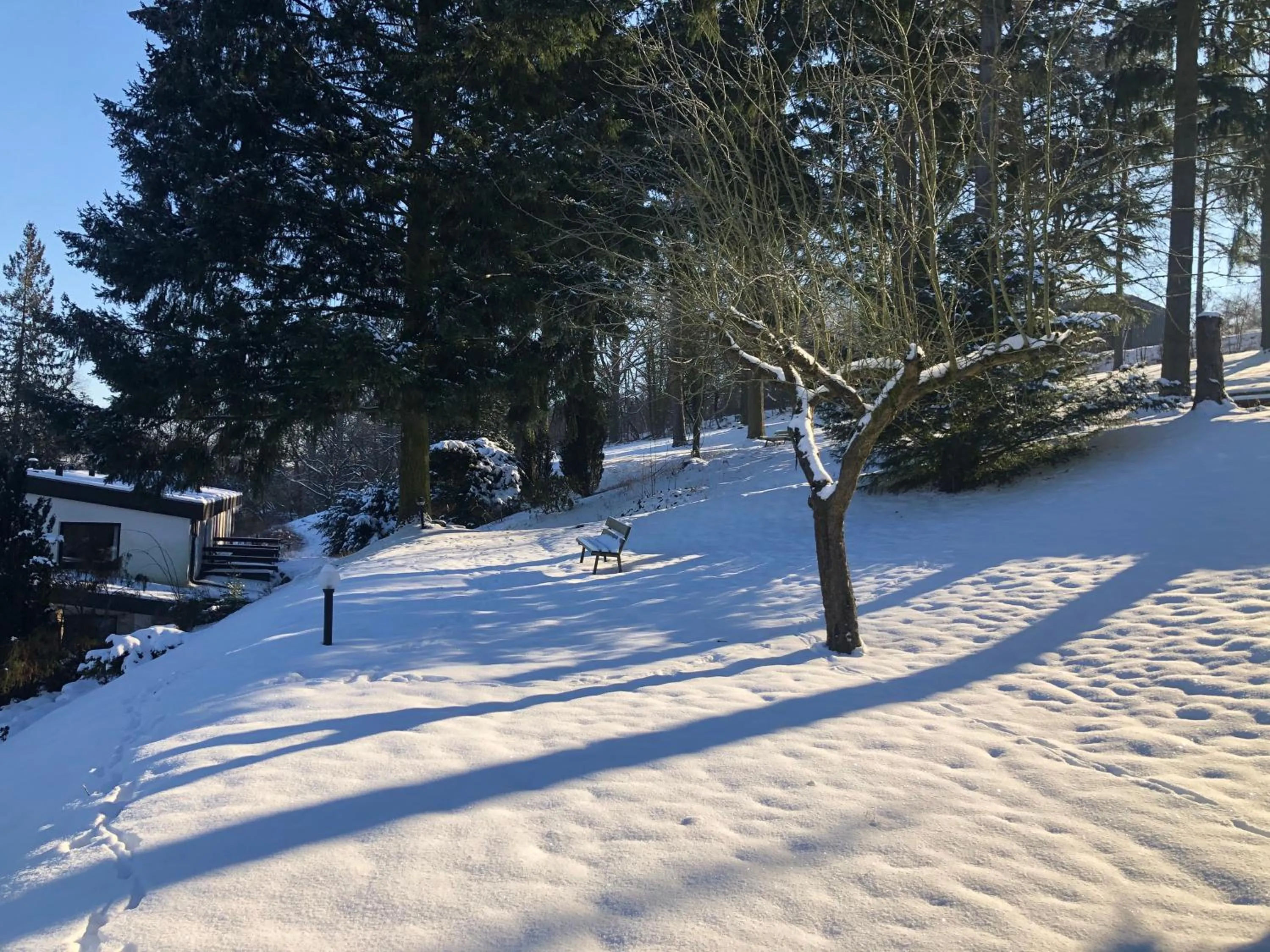 Winter in Haus am Wald