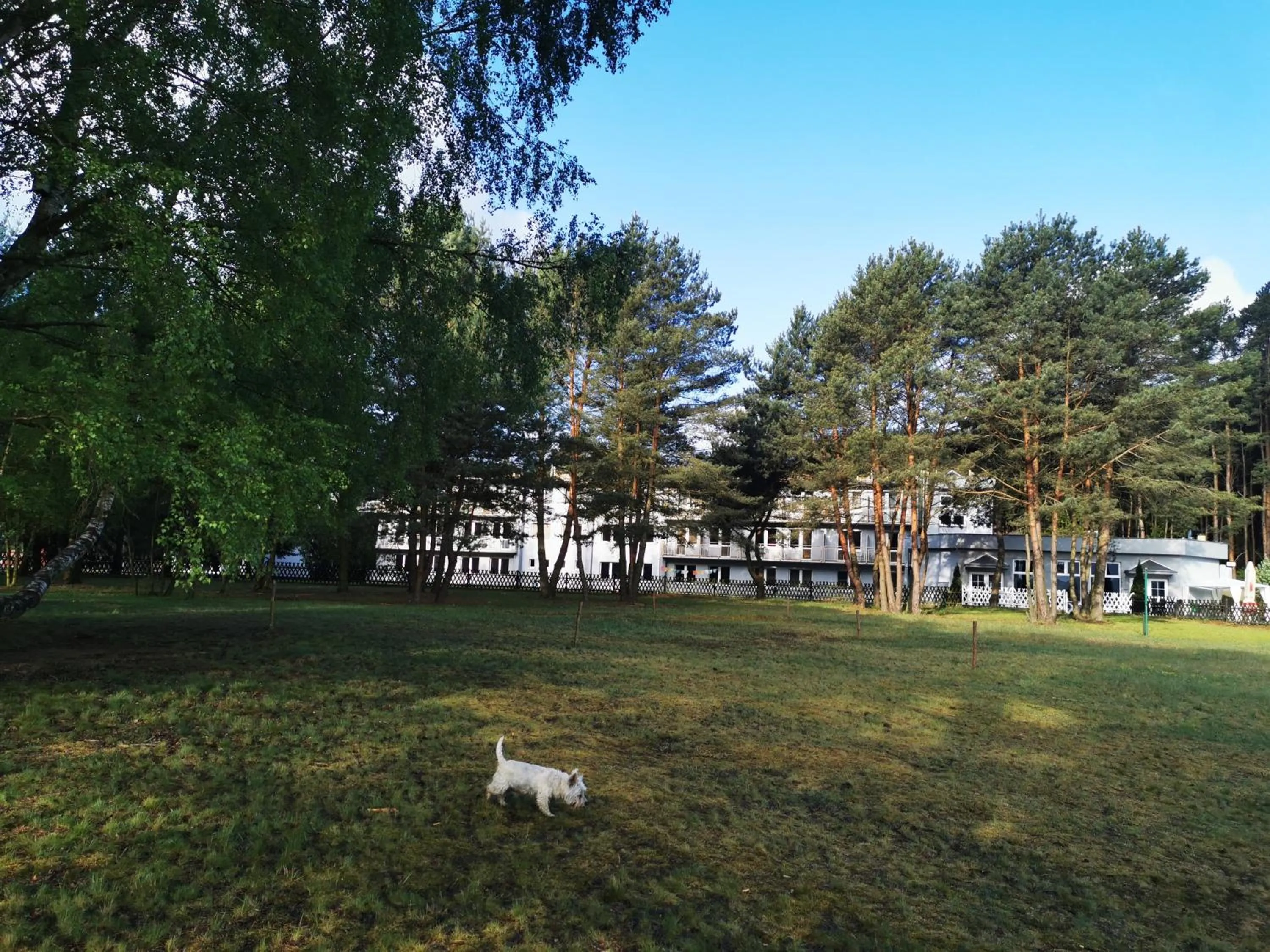 Natural landscape in Hotel Szablewski