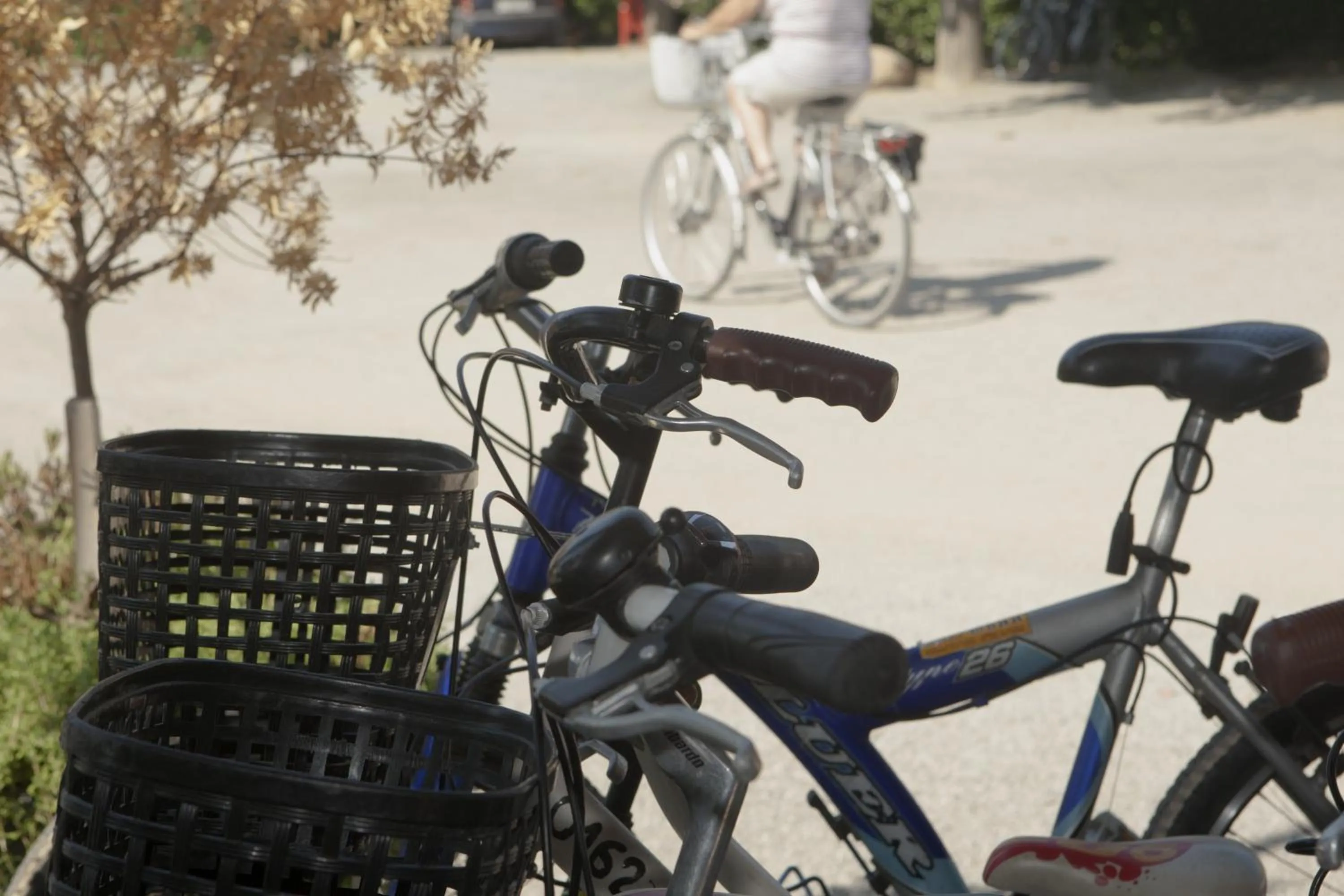 Activities in Camping Platja Cambrils