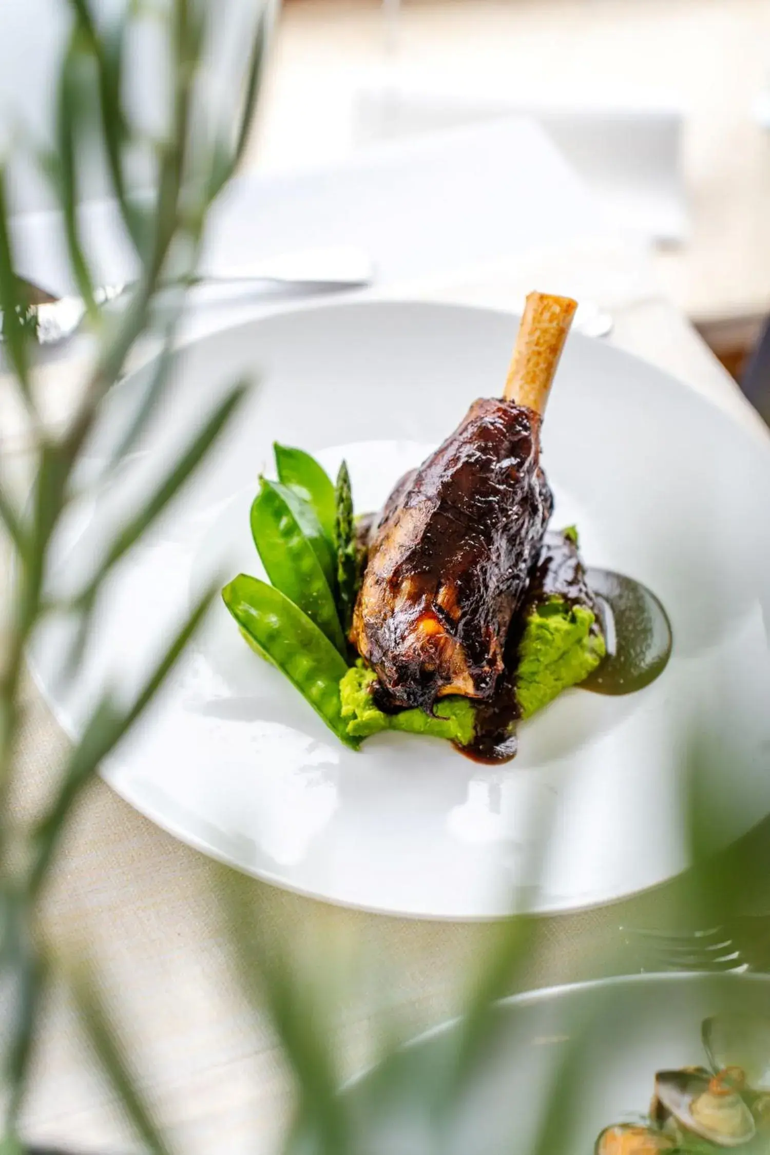 Food and drinks in Hotel Dom Zdrojowy Resort & SPA - Destigo Hotels Food and drinks in Hotel Dom Zdrojowy Resort & SPA - Destigo Hotels