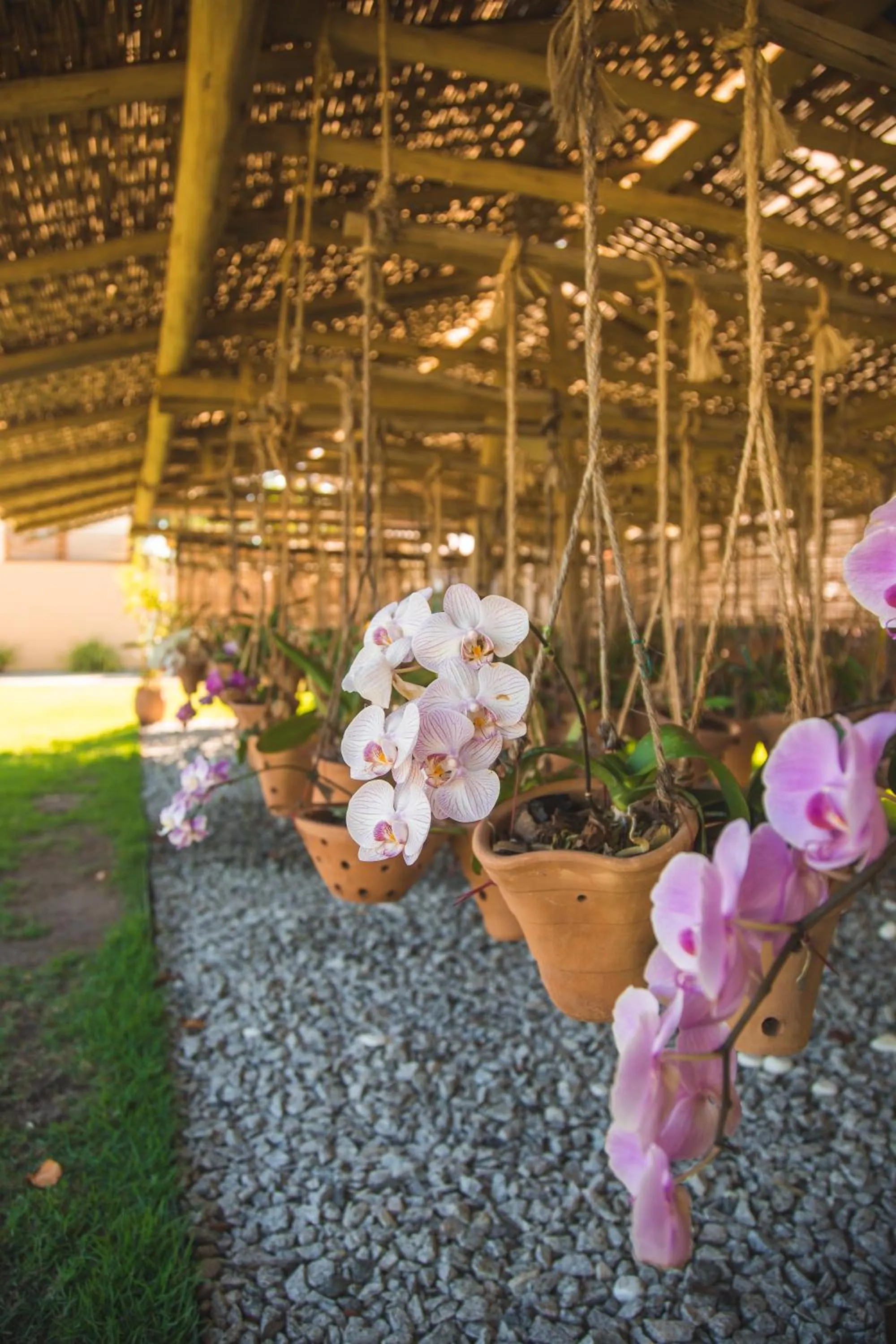 Garden in La Torre Resort All Inclusive