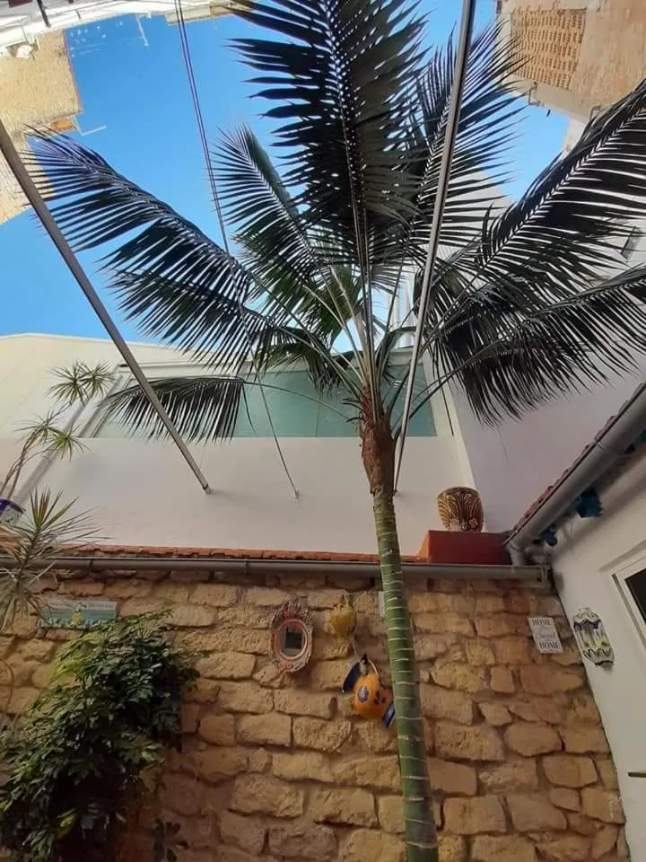 Pensión Antonio Guesthouse