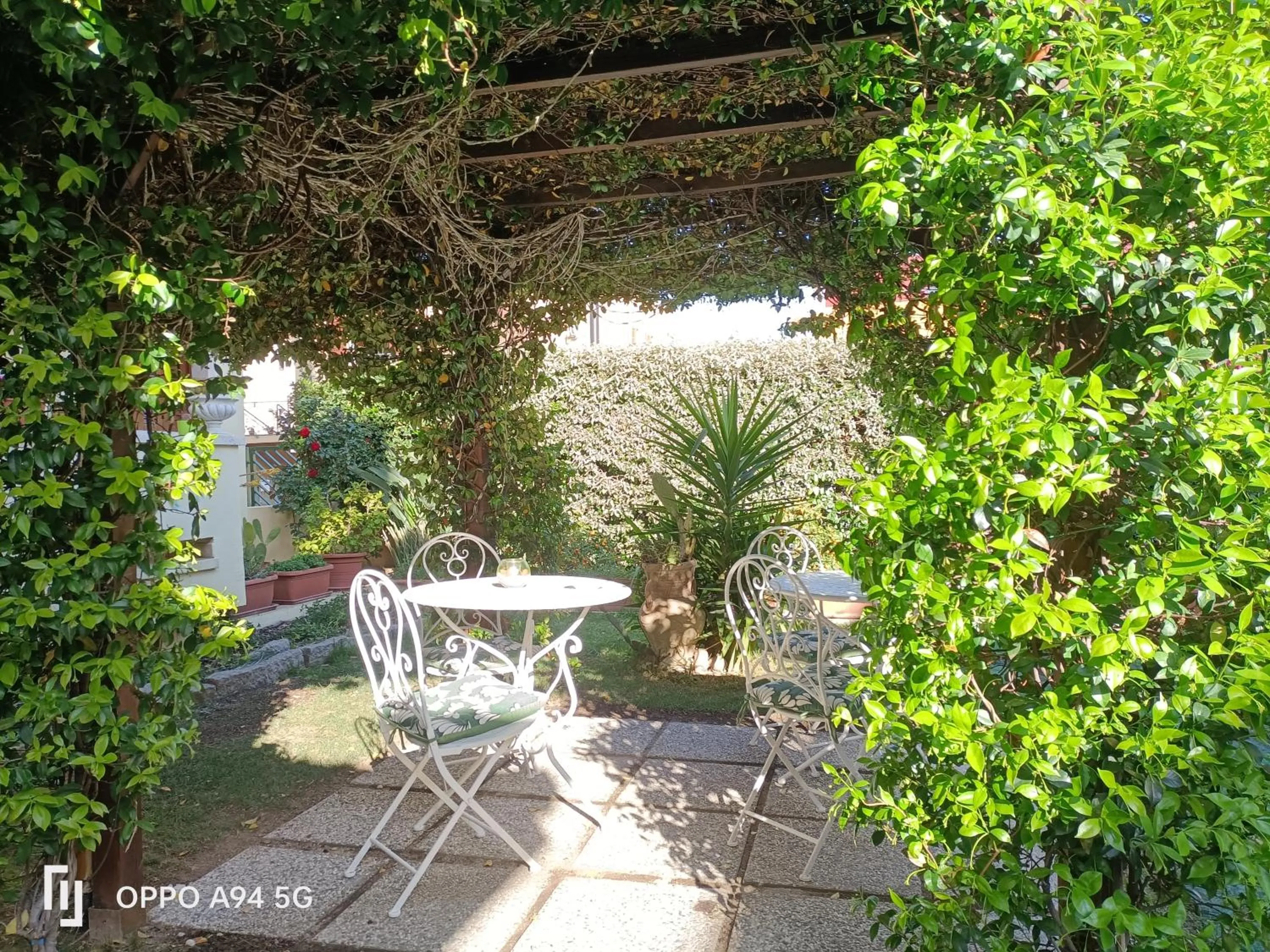 Garden view in Gemma Di Gallura Charme B&B
