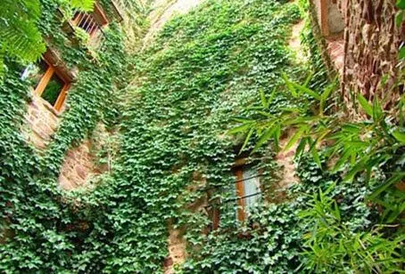 El Jardín Vertical