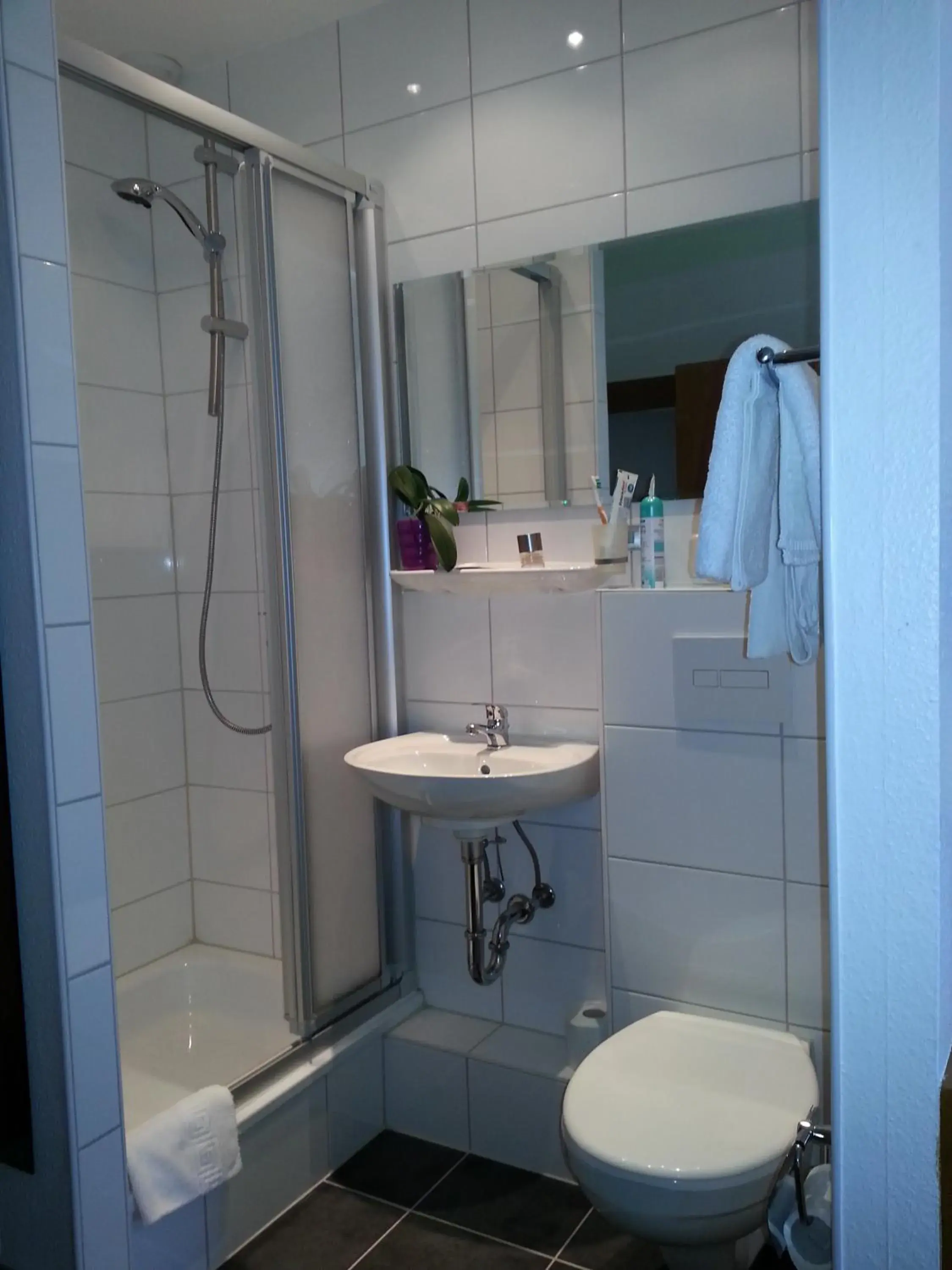 Bathroom in Hotel Koch Maingau