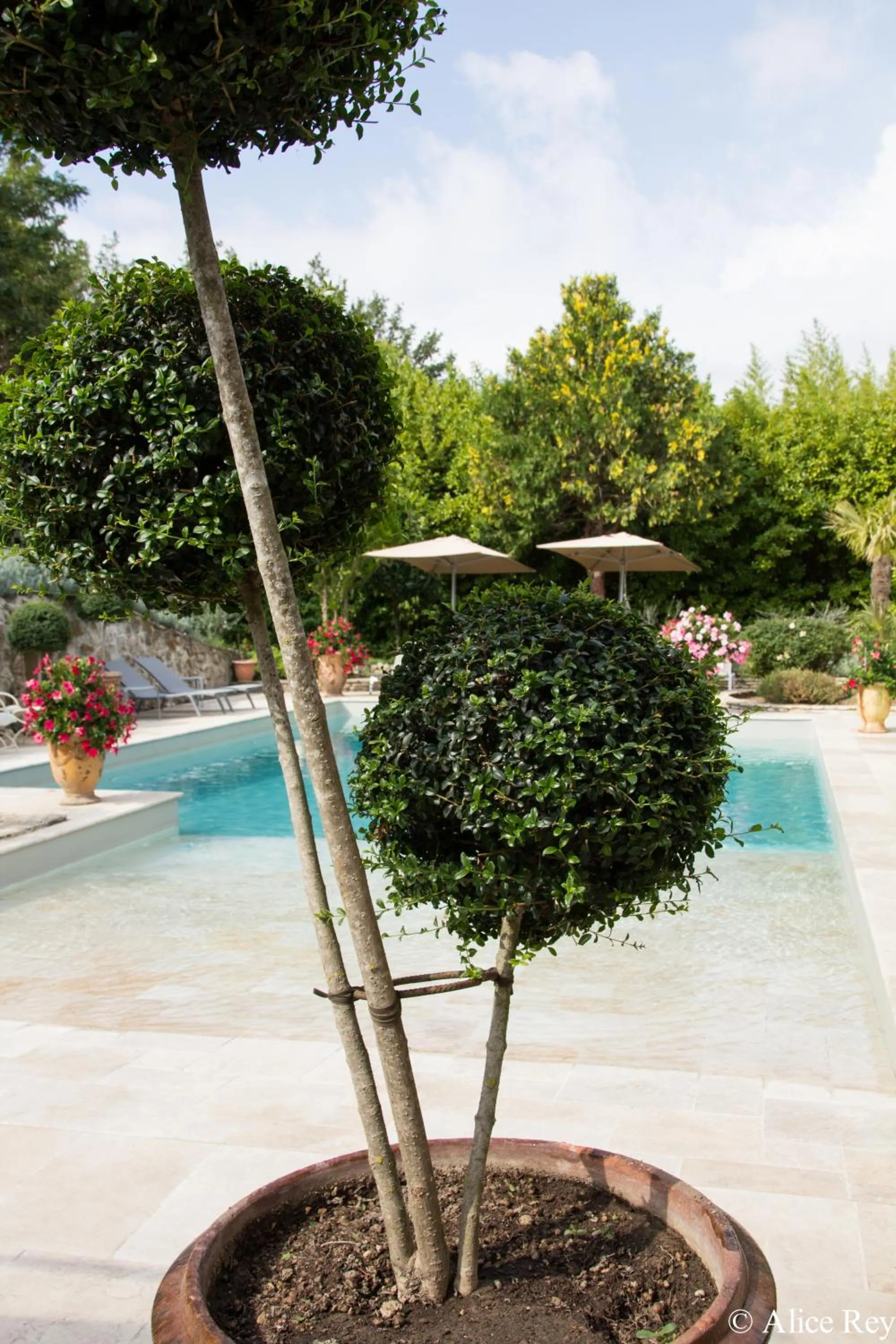 Swimming pool in Domaine de Mejeans - Teritoria