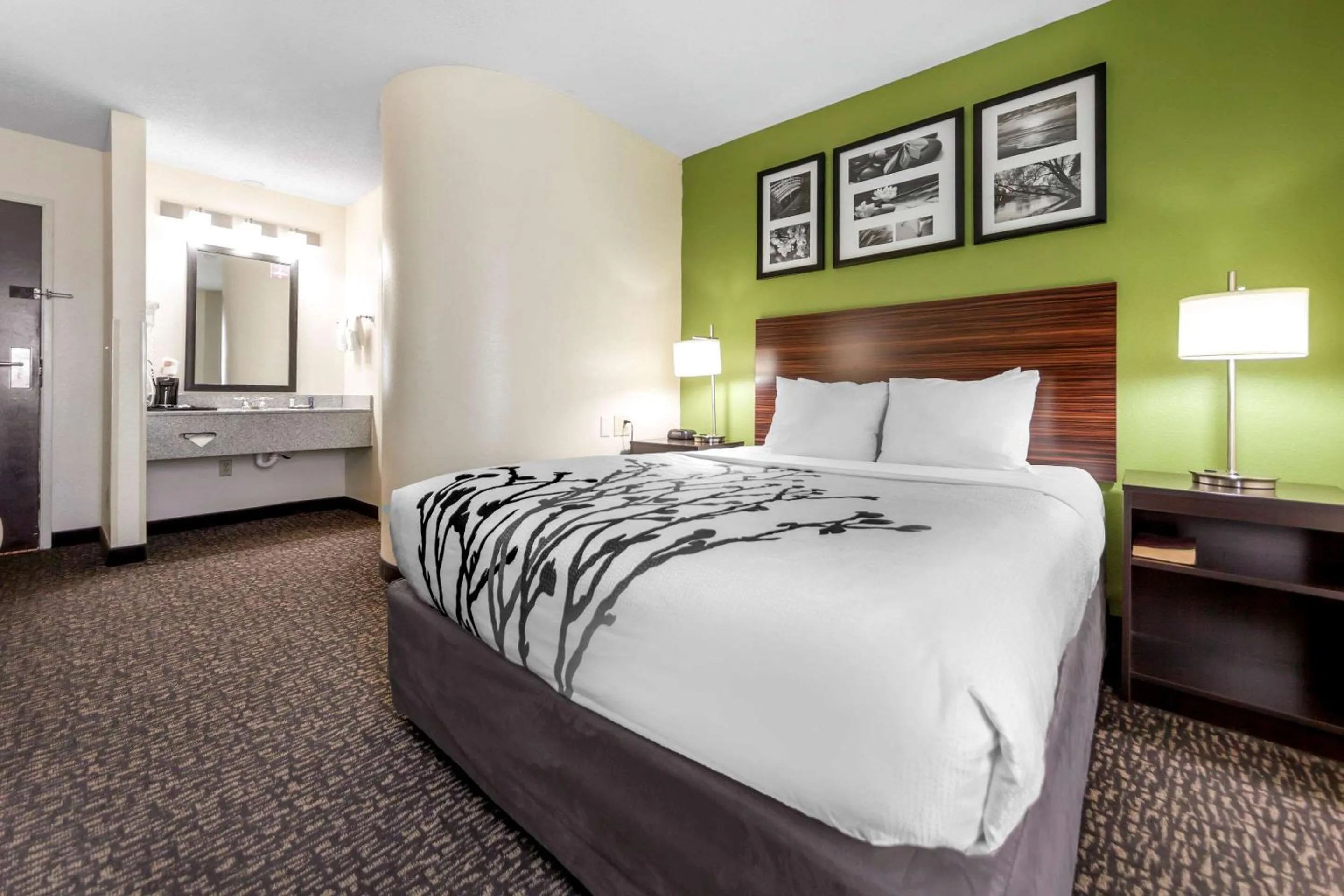 Photo of the whole room, Bed in Sleep Inn & Suites Omaha Airport