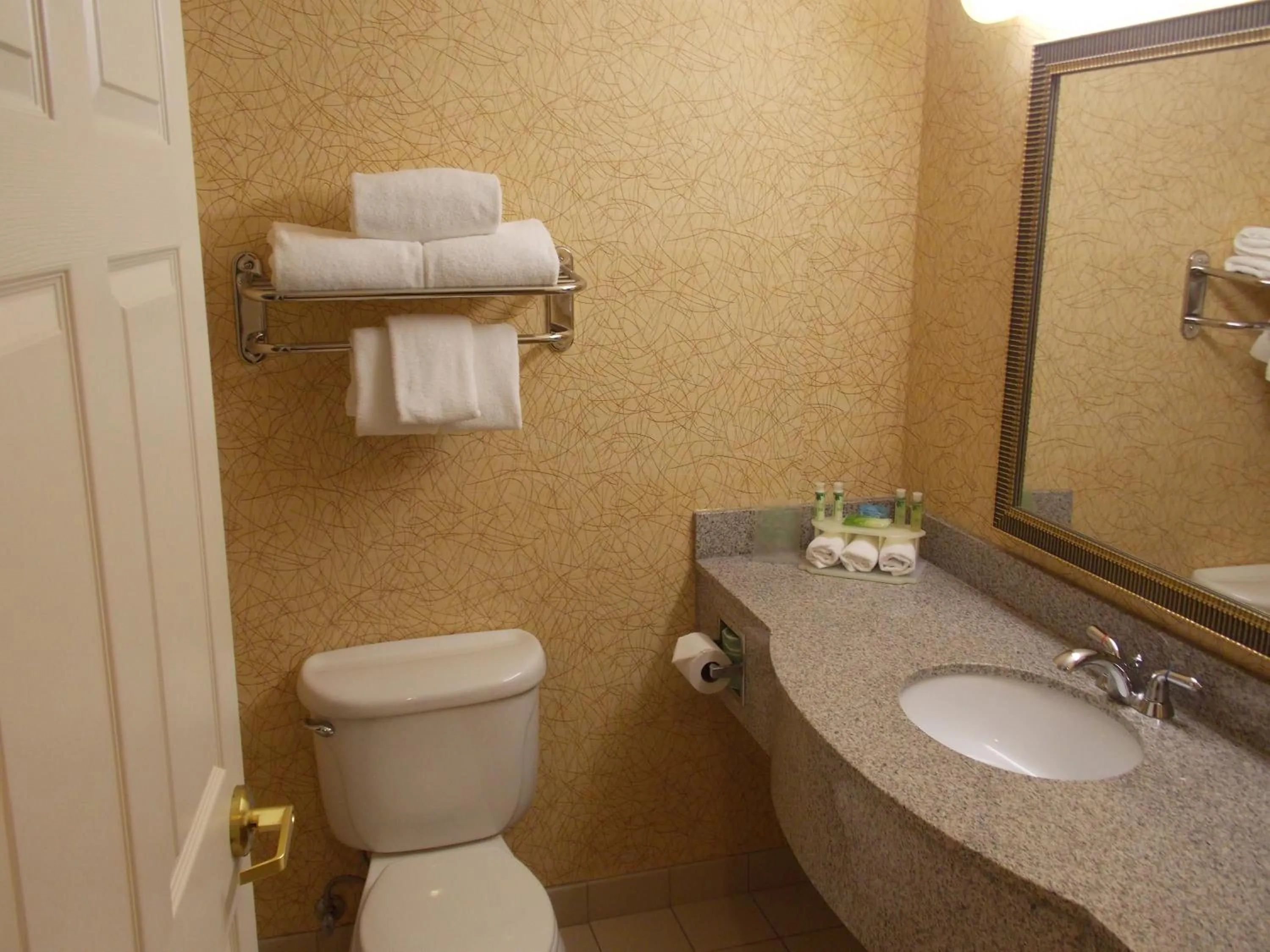 Bathroom in Holiday Inn Express Syracuse-Fairgrounds by IHG