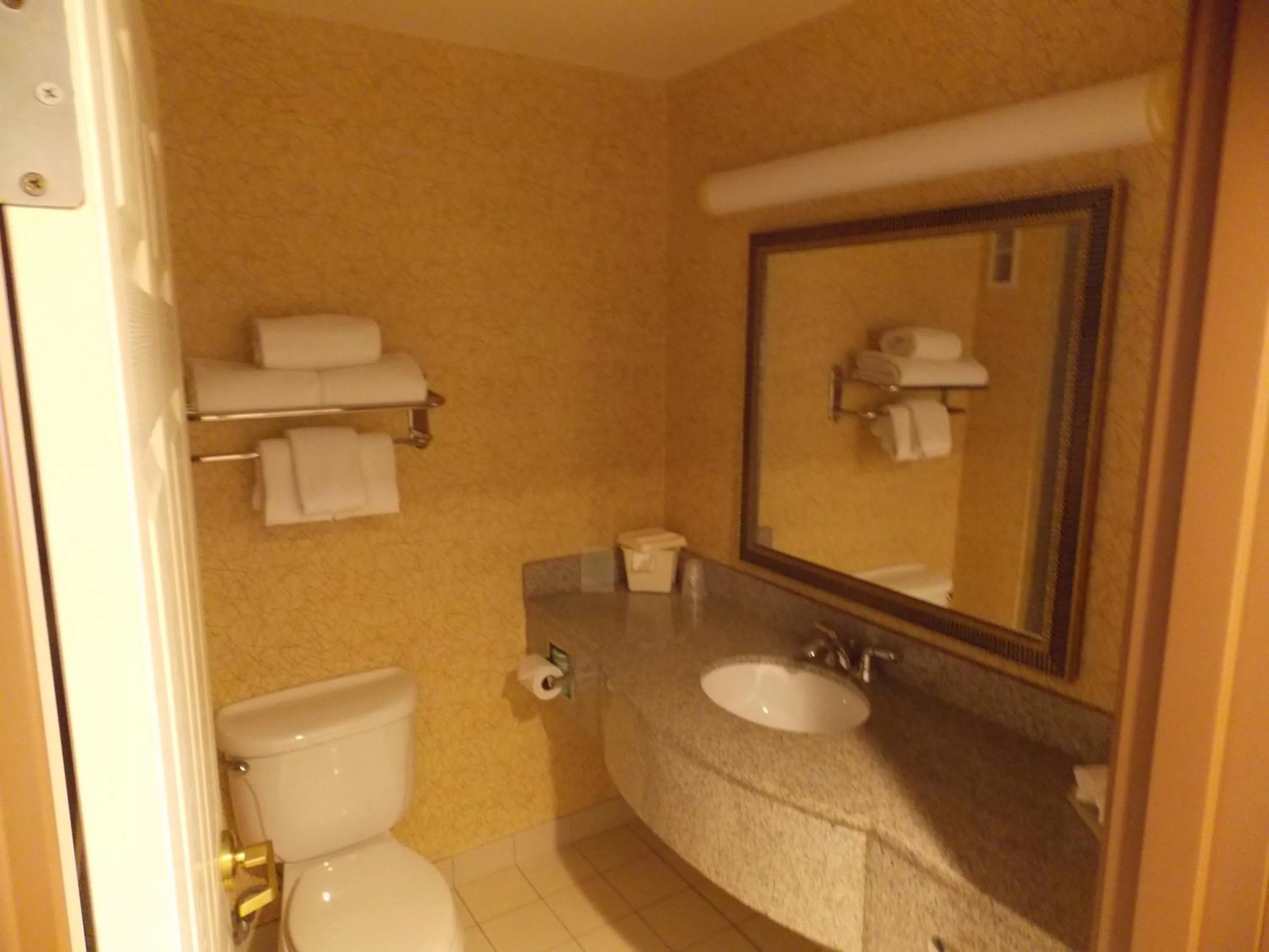 Bathroom in Holiday Inn Express Syracuse-Fairgrounds by IHG