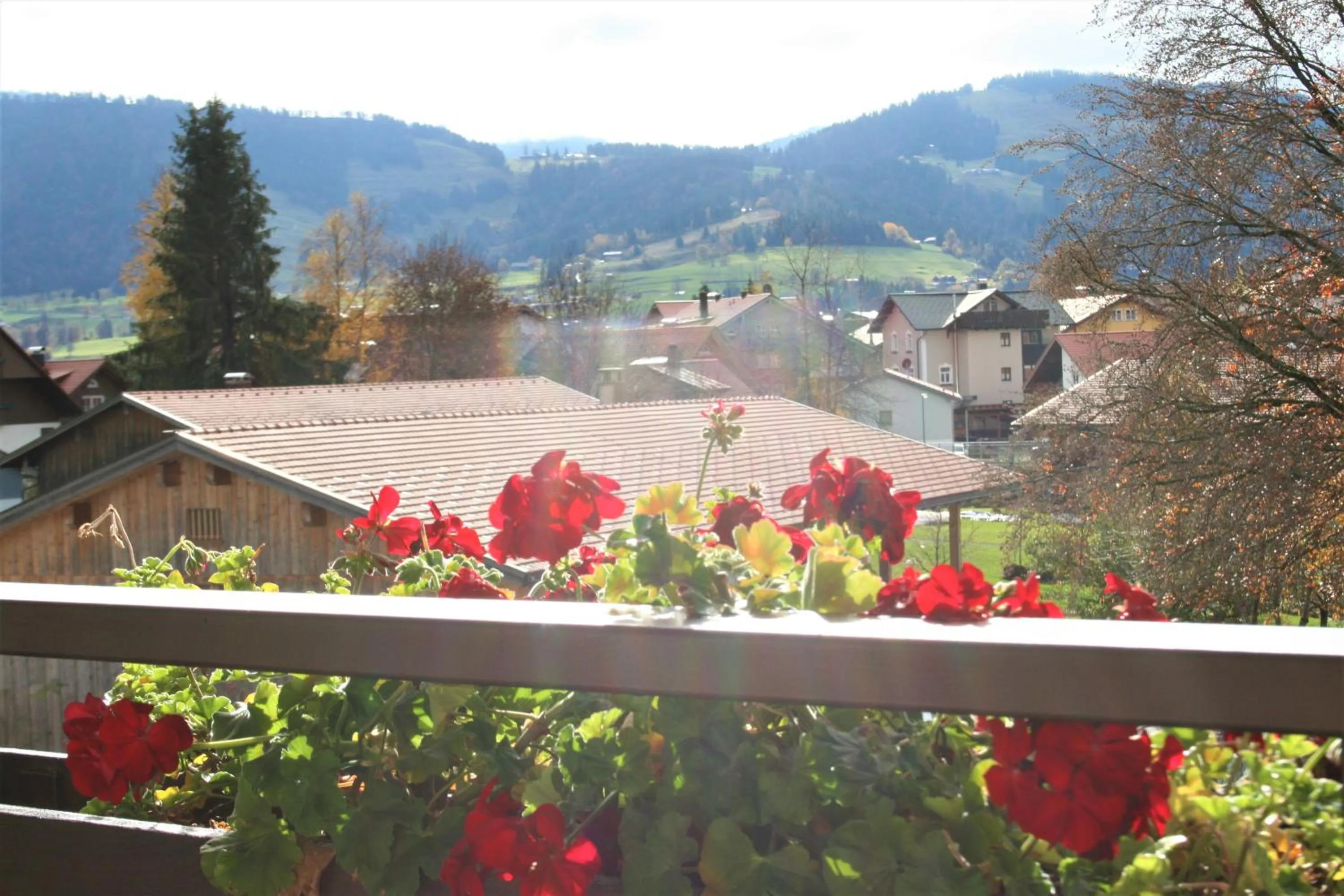Property building, Balcony/Terrace in Hotel Allgäuer Hof