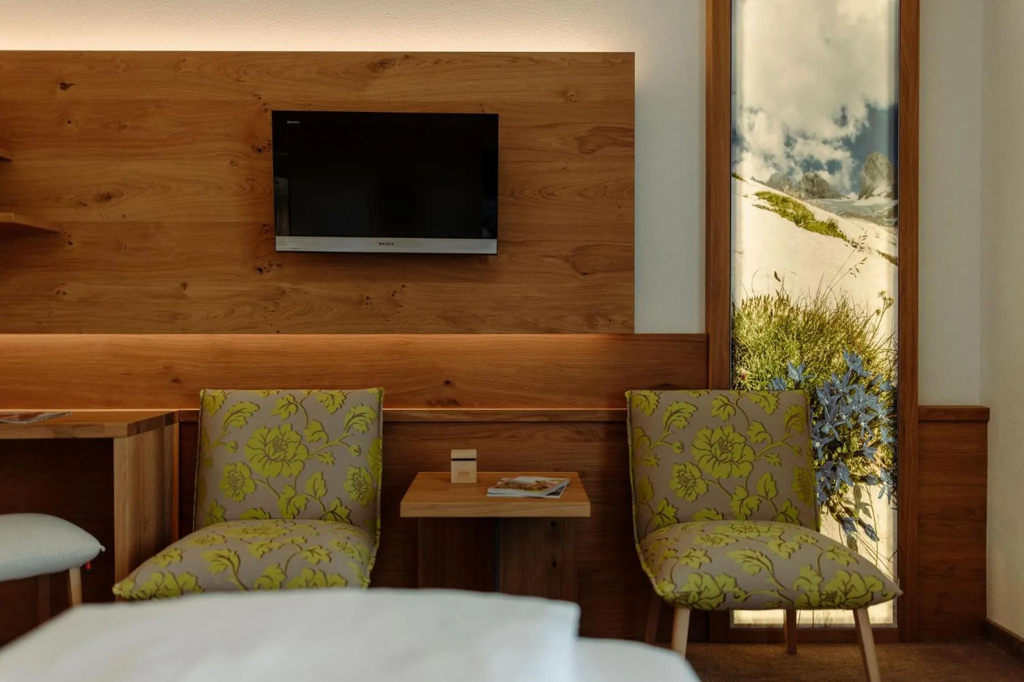 TV and multimedia in Hotel Waldfrieden