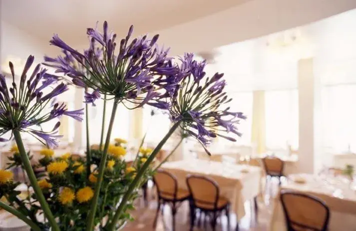 Restaurant/places to eat in Hotel Torremaura Restaurant/places to eat in Hotel Torremaura