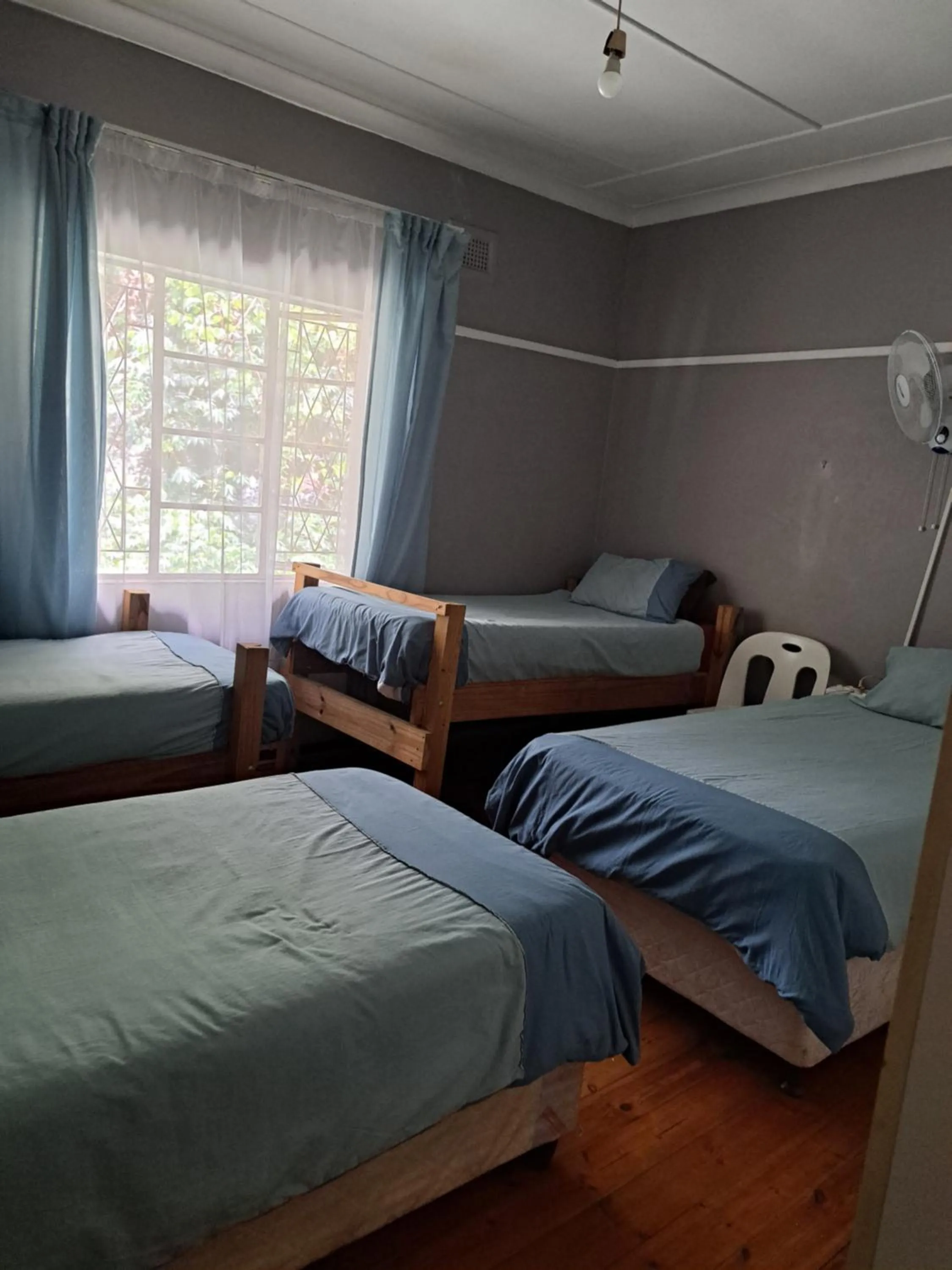 Bed in PMB Backpackers Lodge