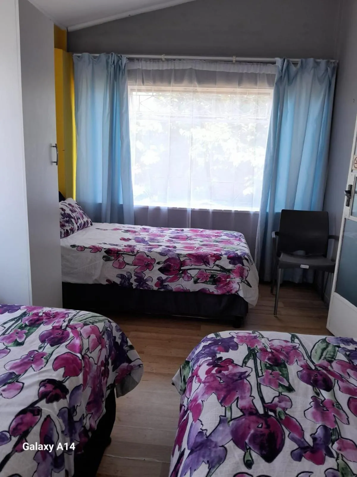 PMB Backpackers Lodge