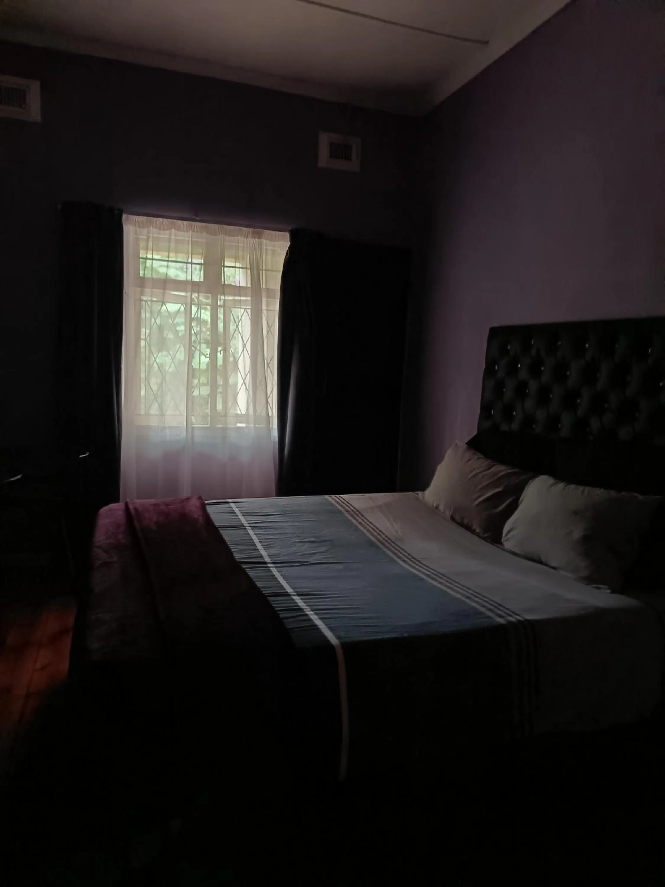 PMB Backpackers Lodge