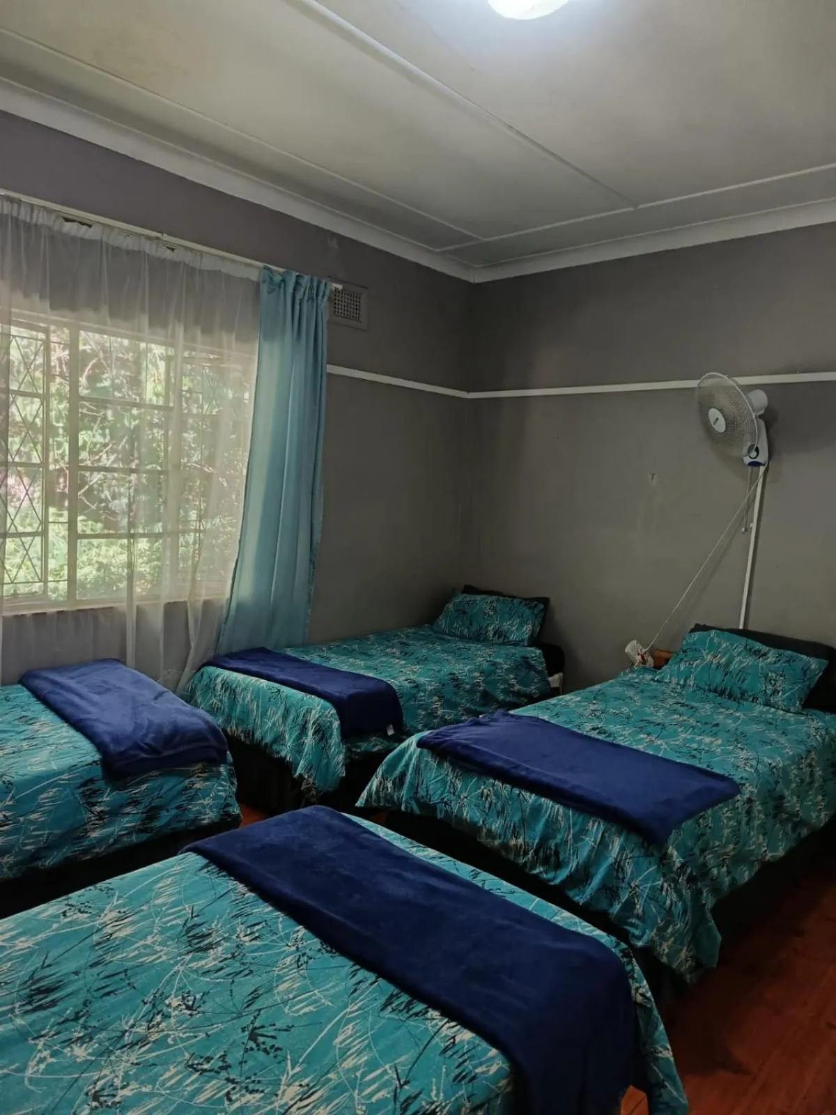 PMB Backpackers Lodge