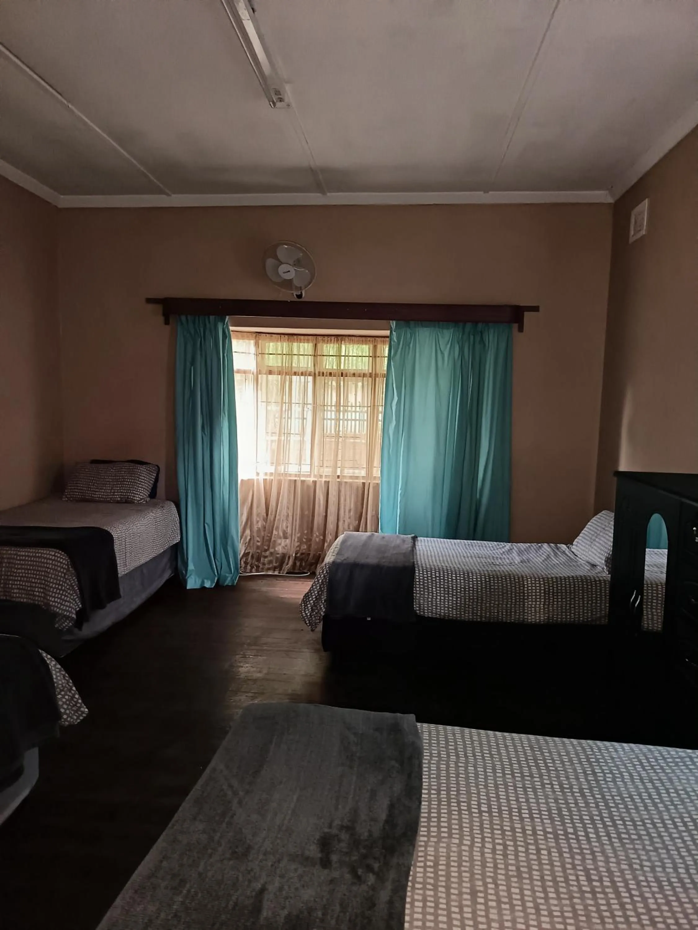 Bed in PMB Backpackers Lodge