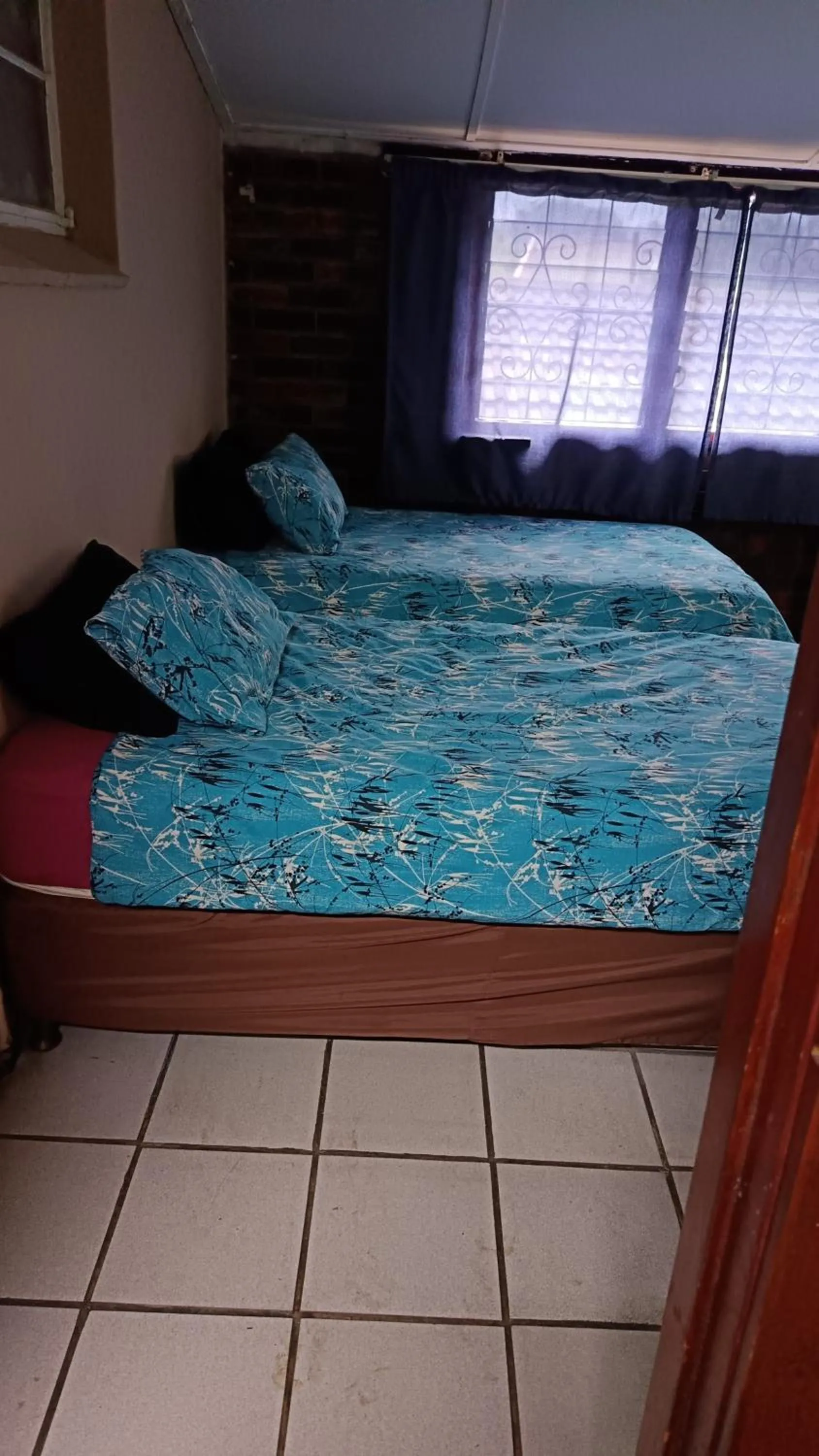 PMB Backpackers Lodge